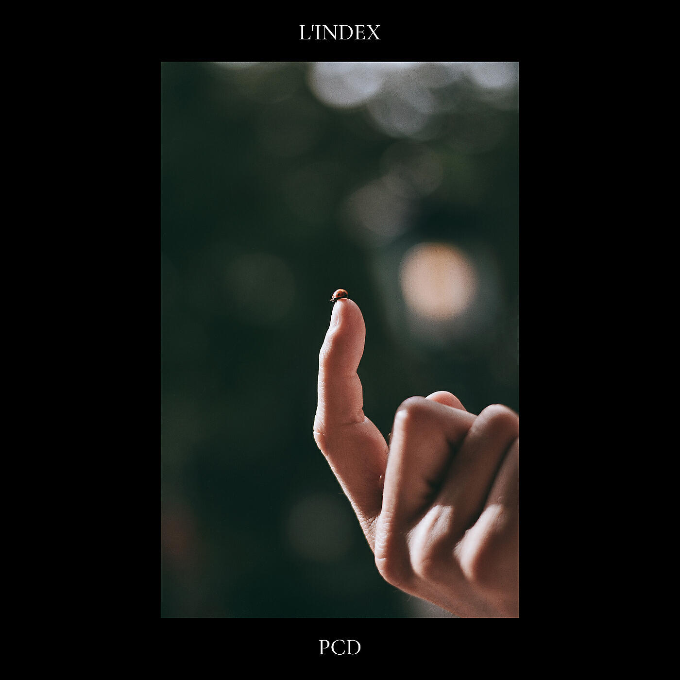 Релиз L'index