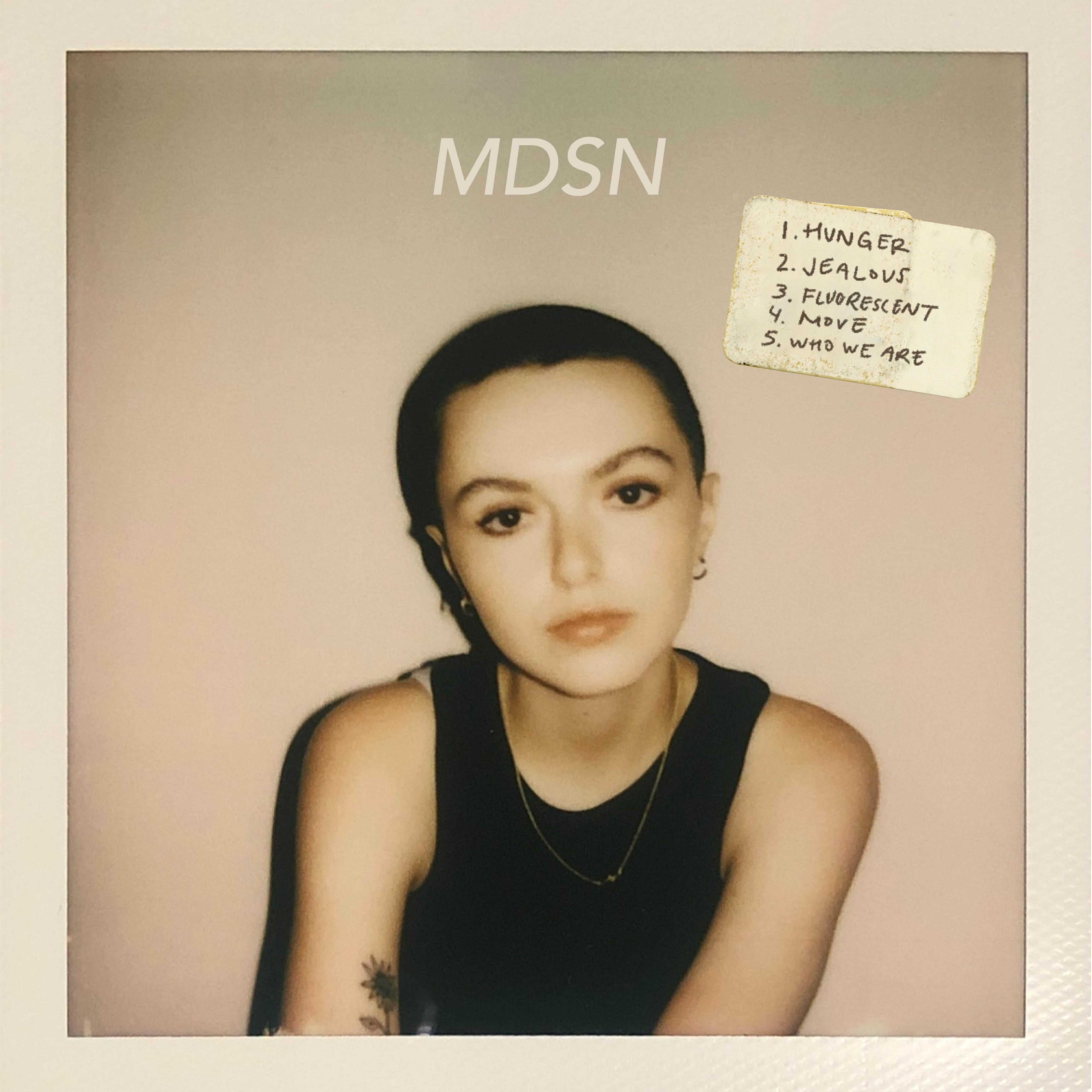 Релиз MDSN