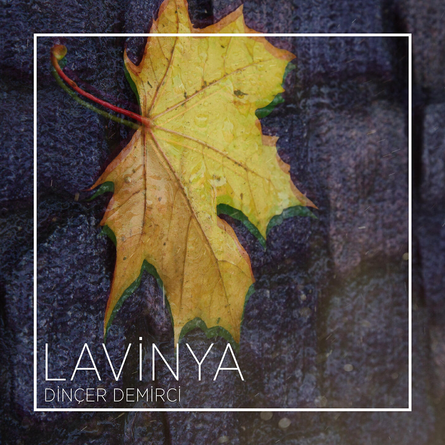 Релиз LAVİNYA
