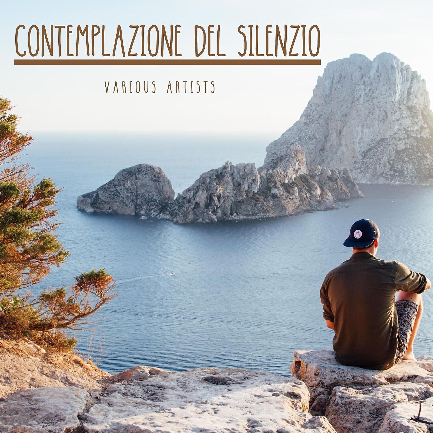 Релиз Contemplazione del silenzio