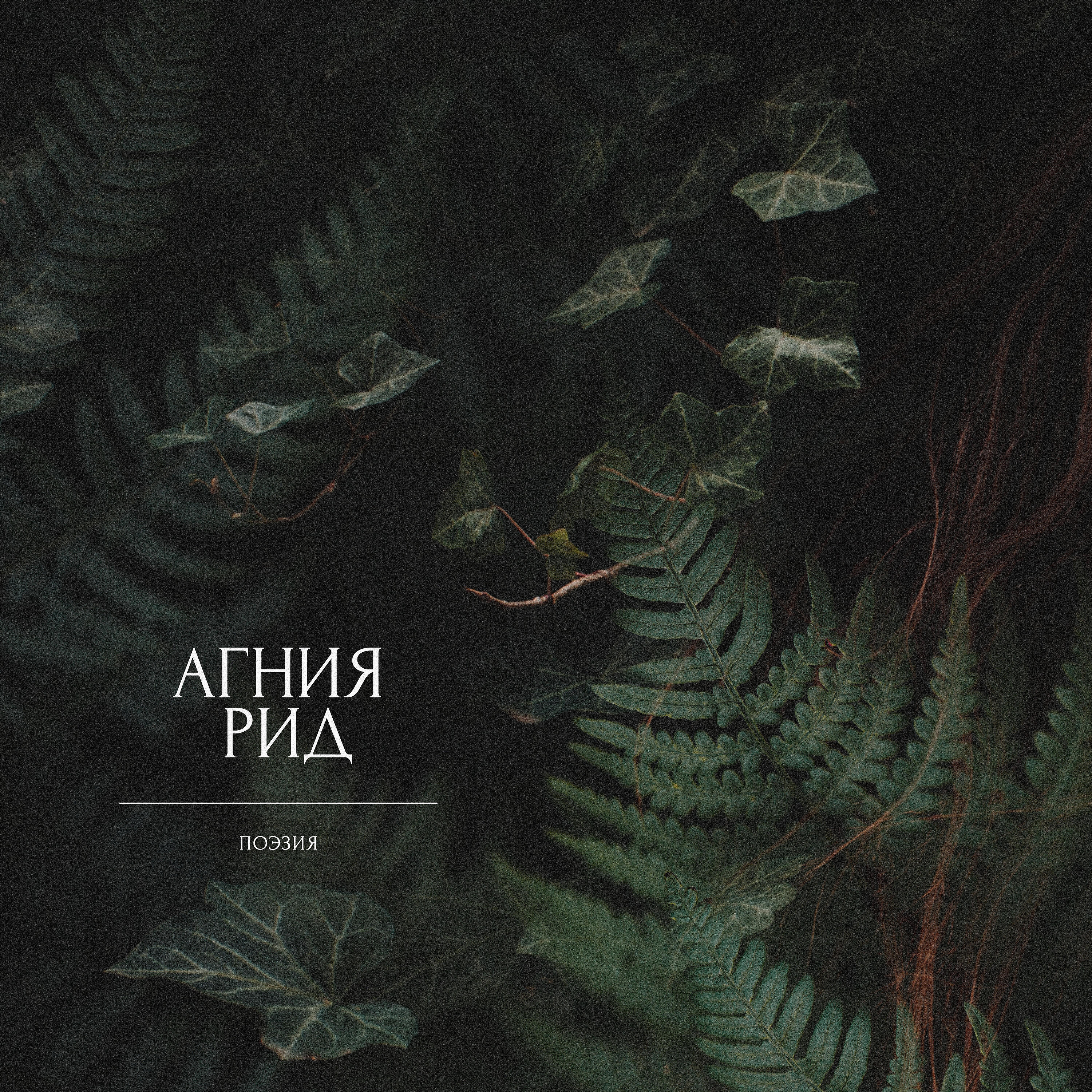 Релиз Открой мне мир