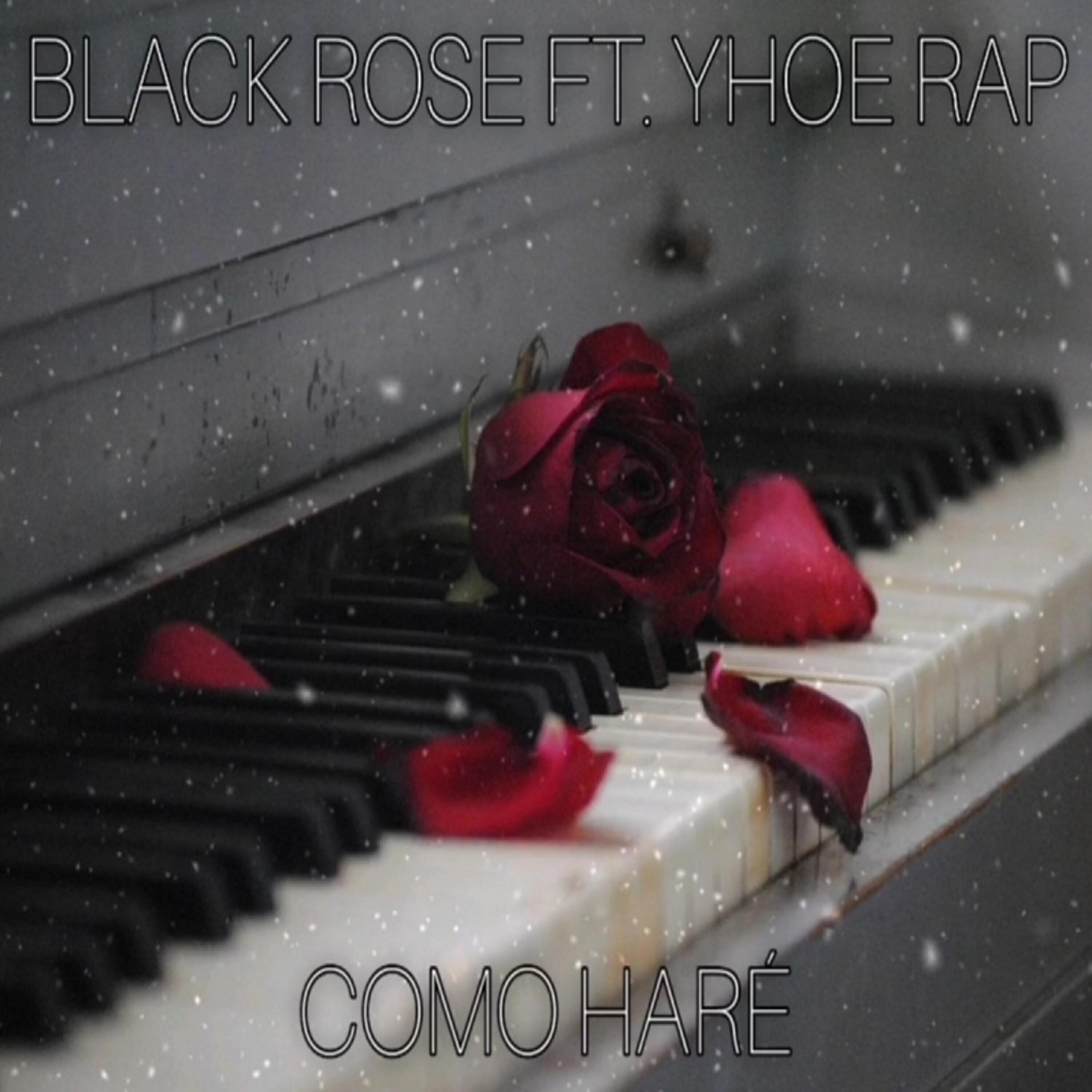 THE BLACK ROSE