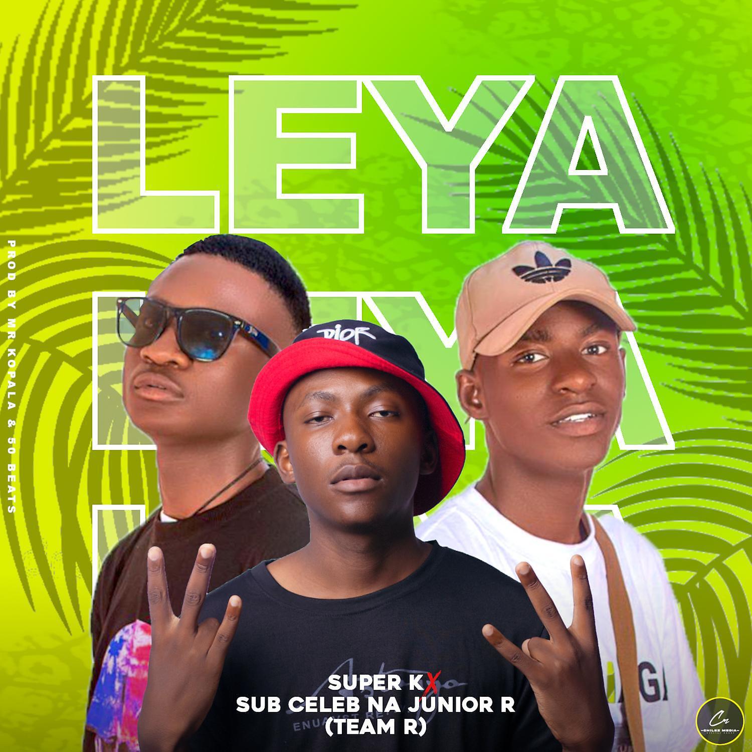 Постер альбома Leya (feat. Sub Celeb NA Juniour R (Team R))