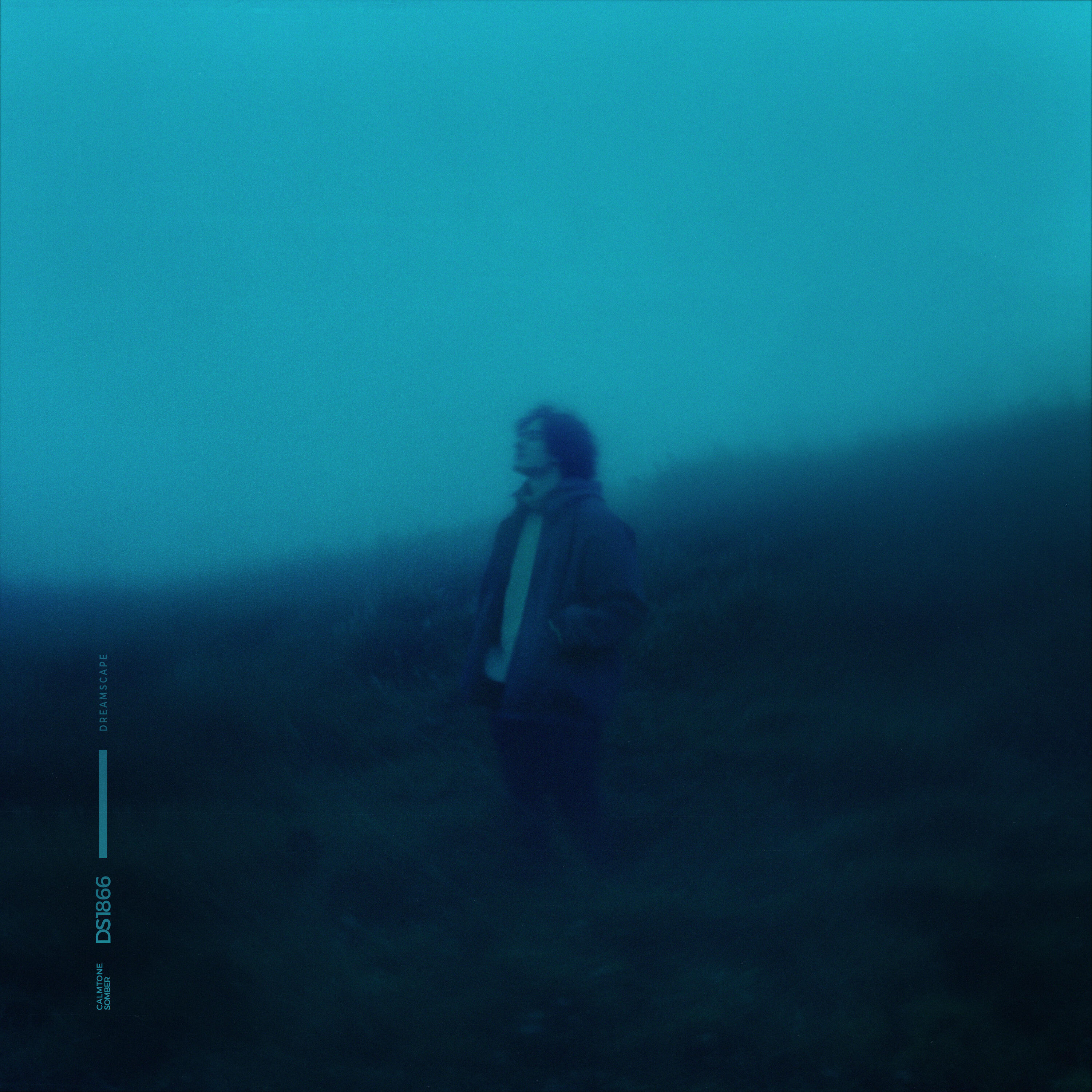 Релиз somber
