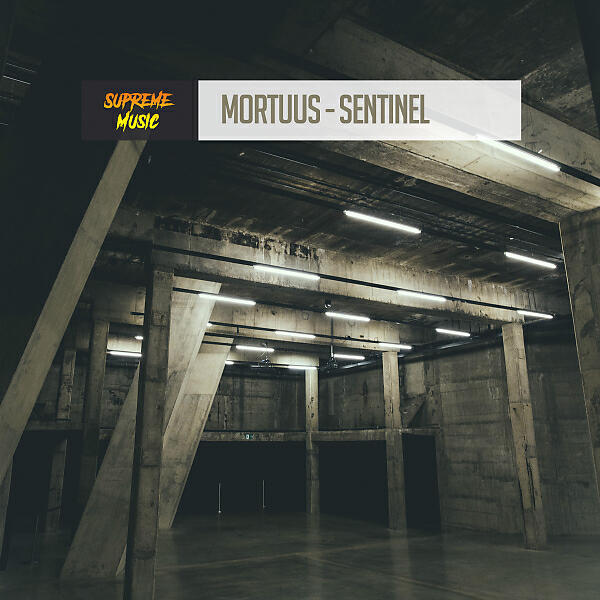 Релиз Sentinel