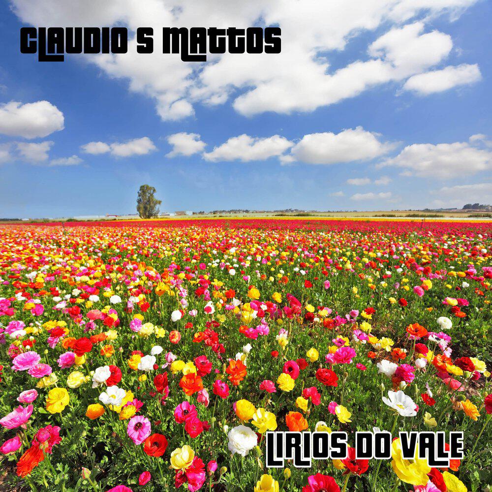 Claudio S Mattos