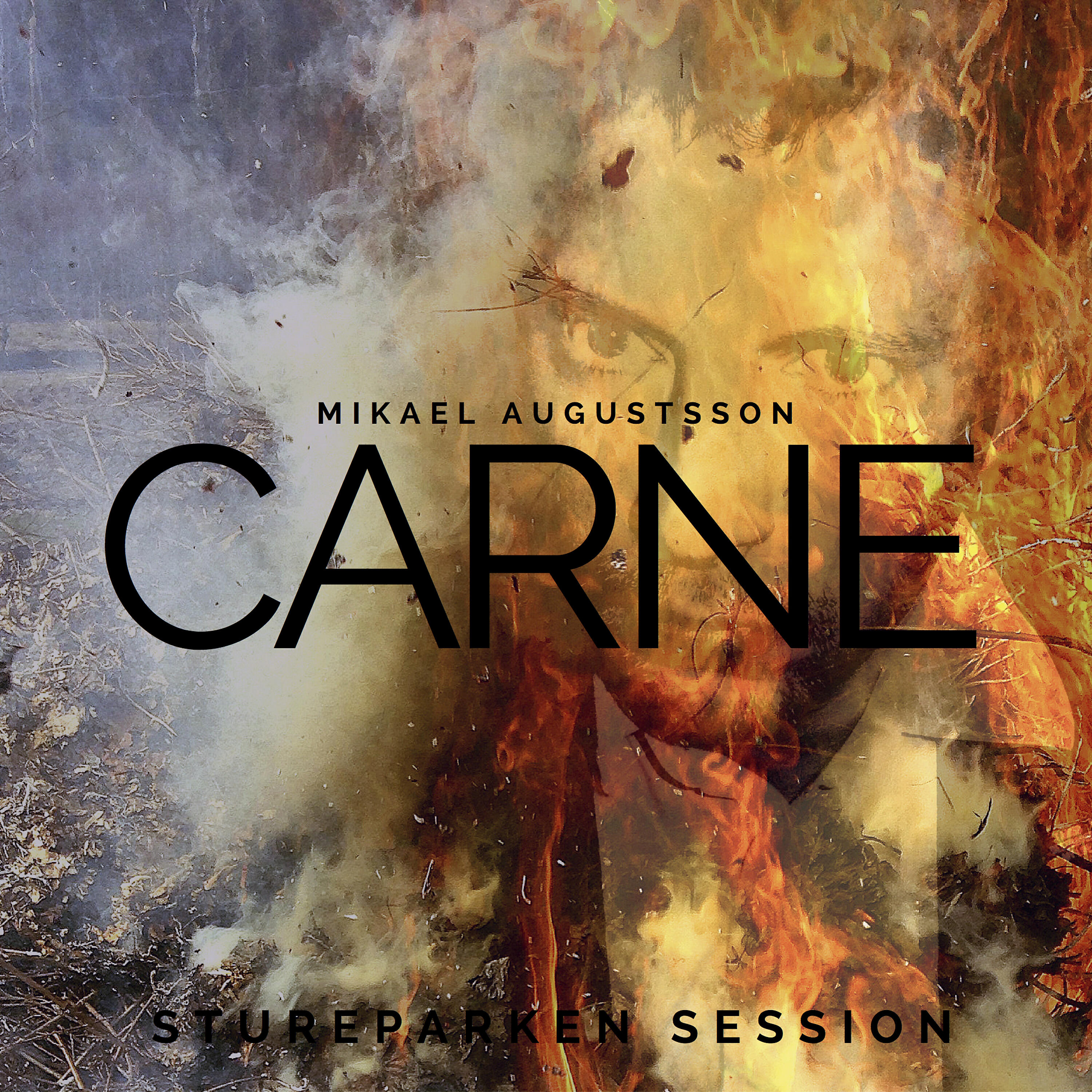 Релиз Carne