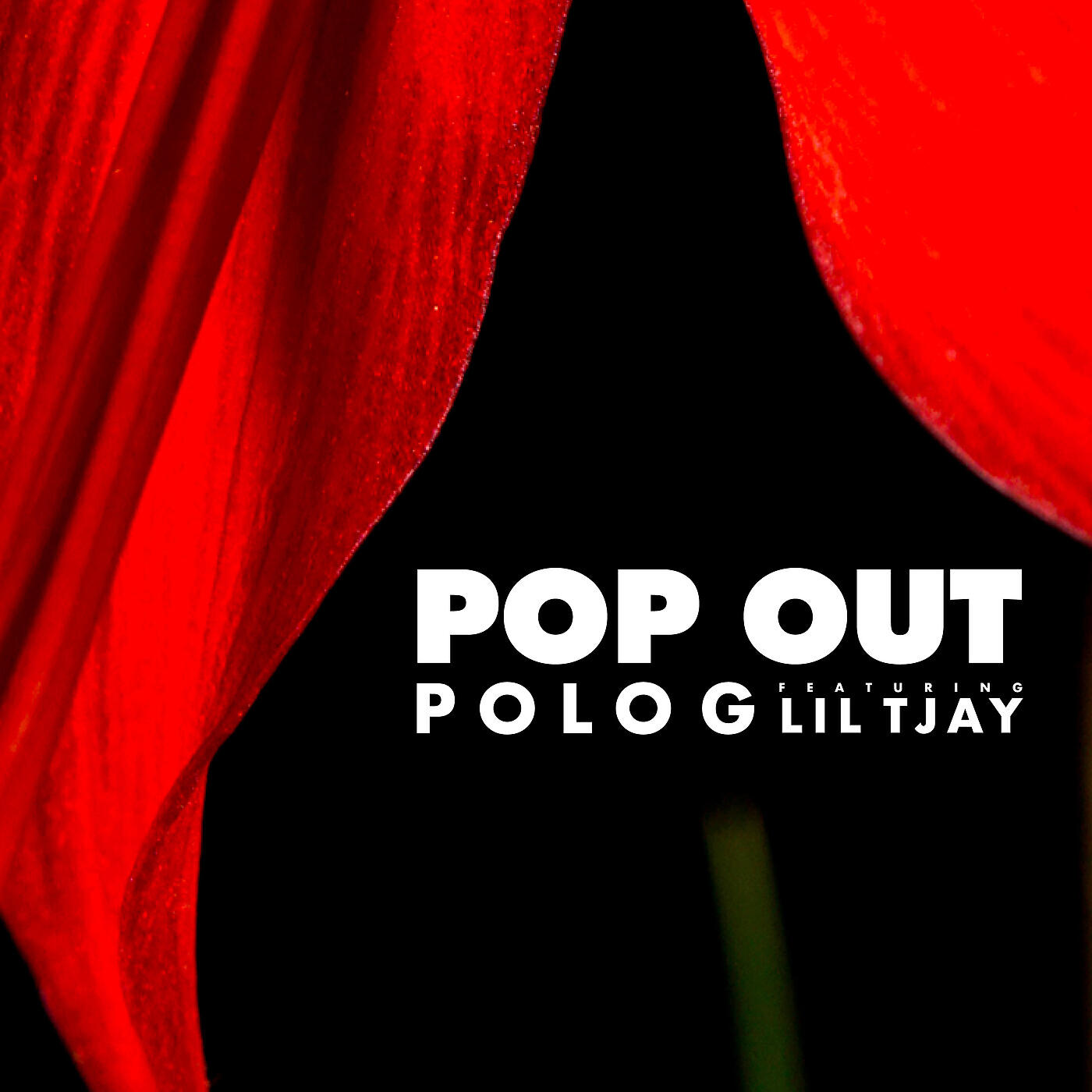 Релиз Pop Out