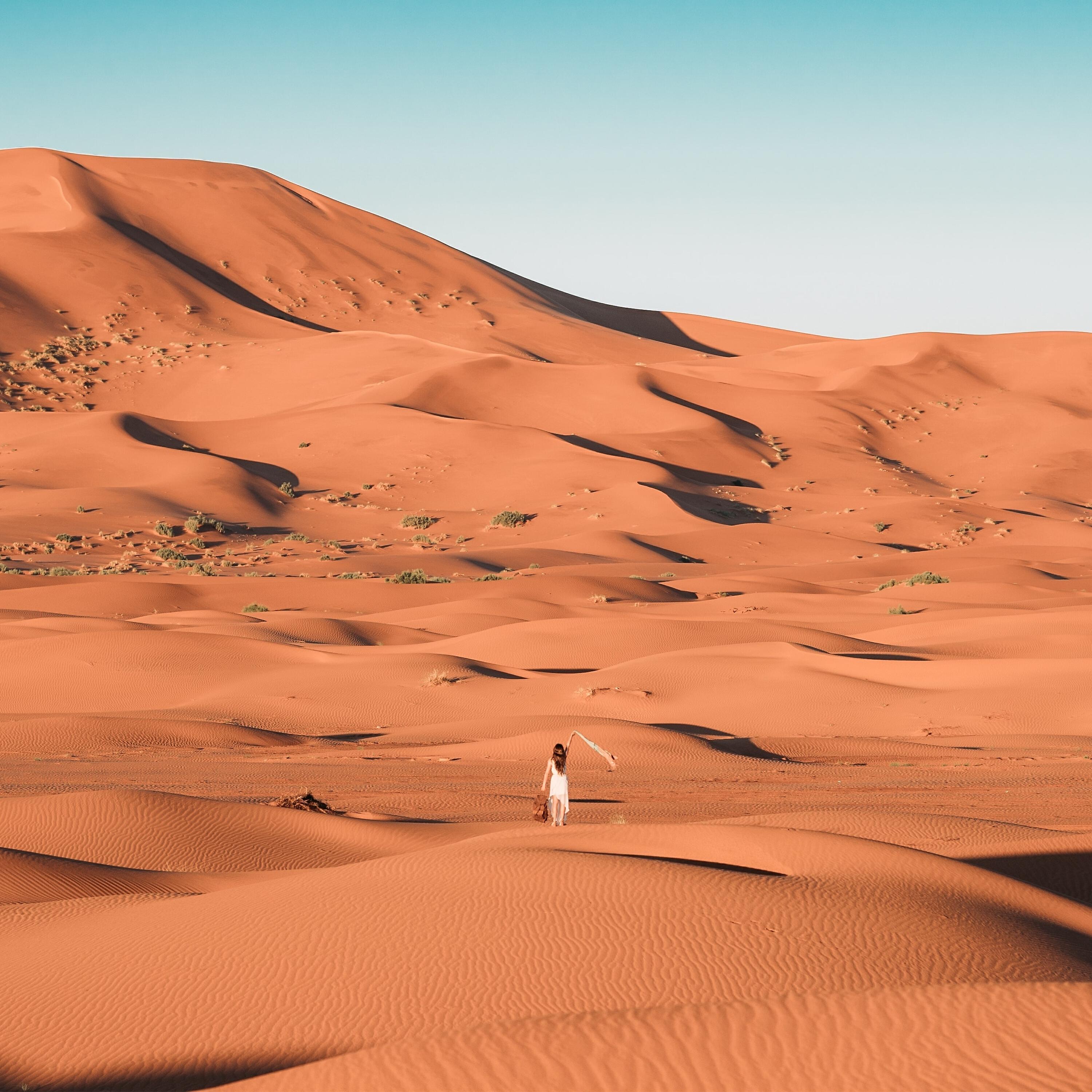 Релиз Sahara