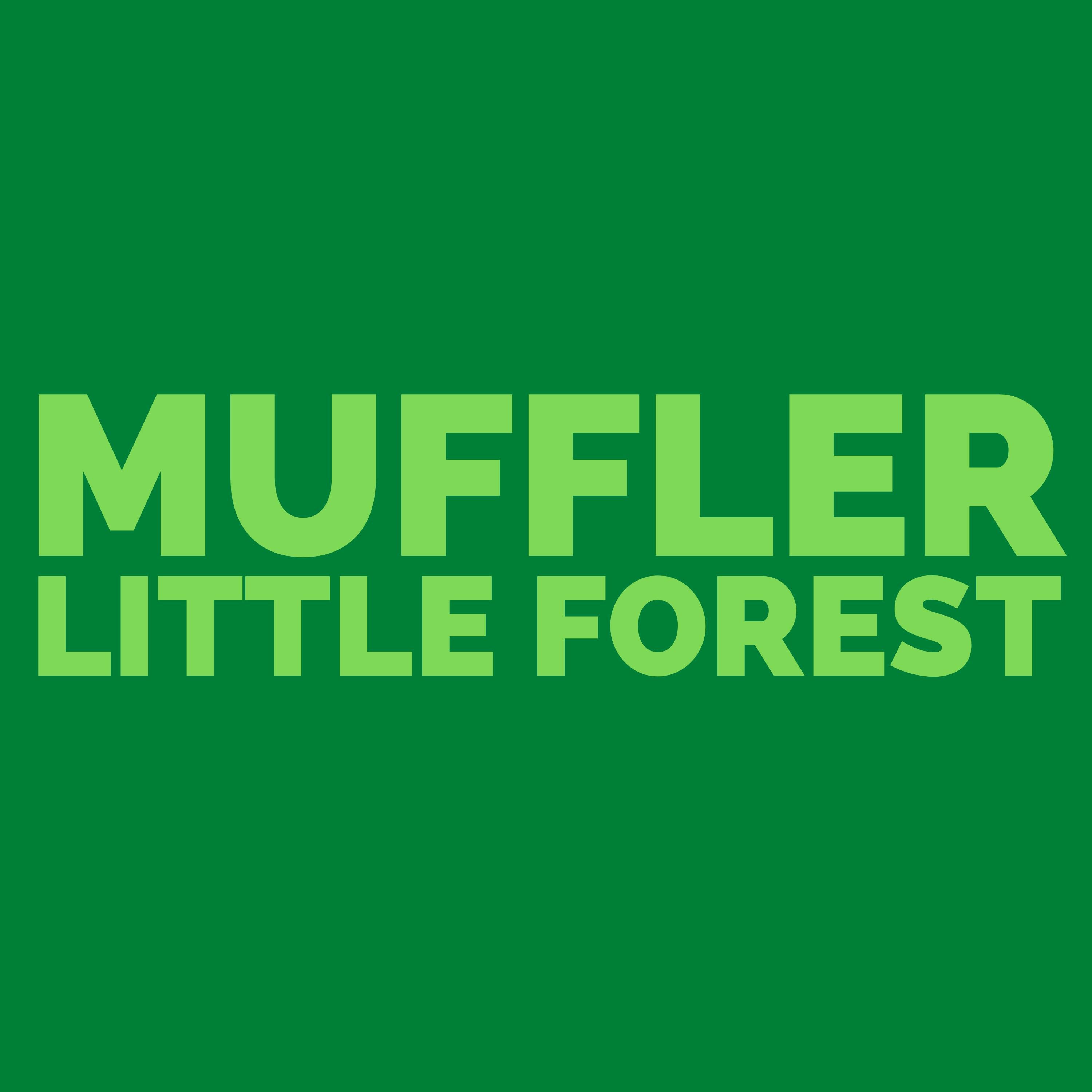 Релиз Little Forest
