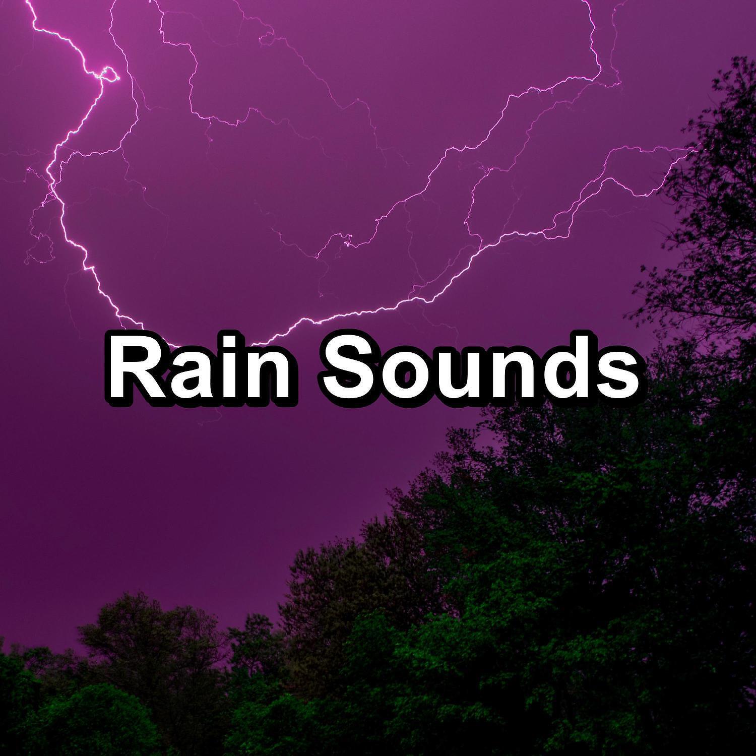 Трек Moderate Rain on a Tin Roof Noise for Trouble Sleeping