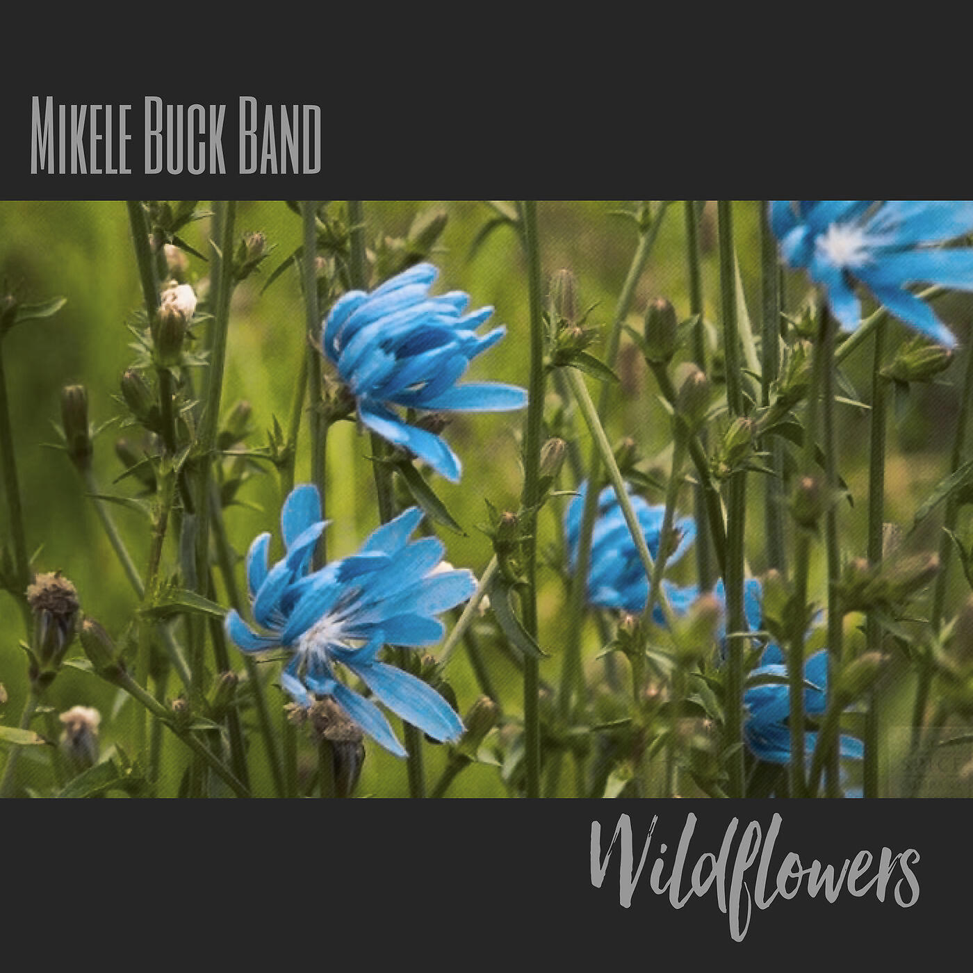 Релиз Wildflowers