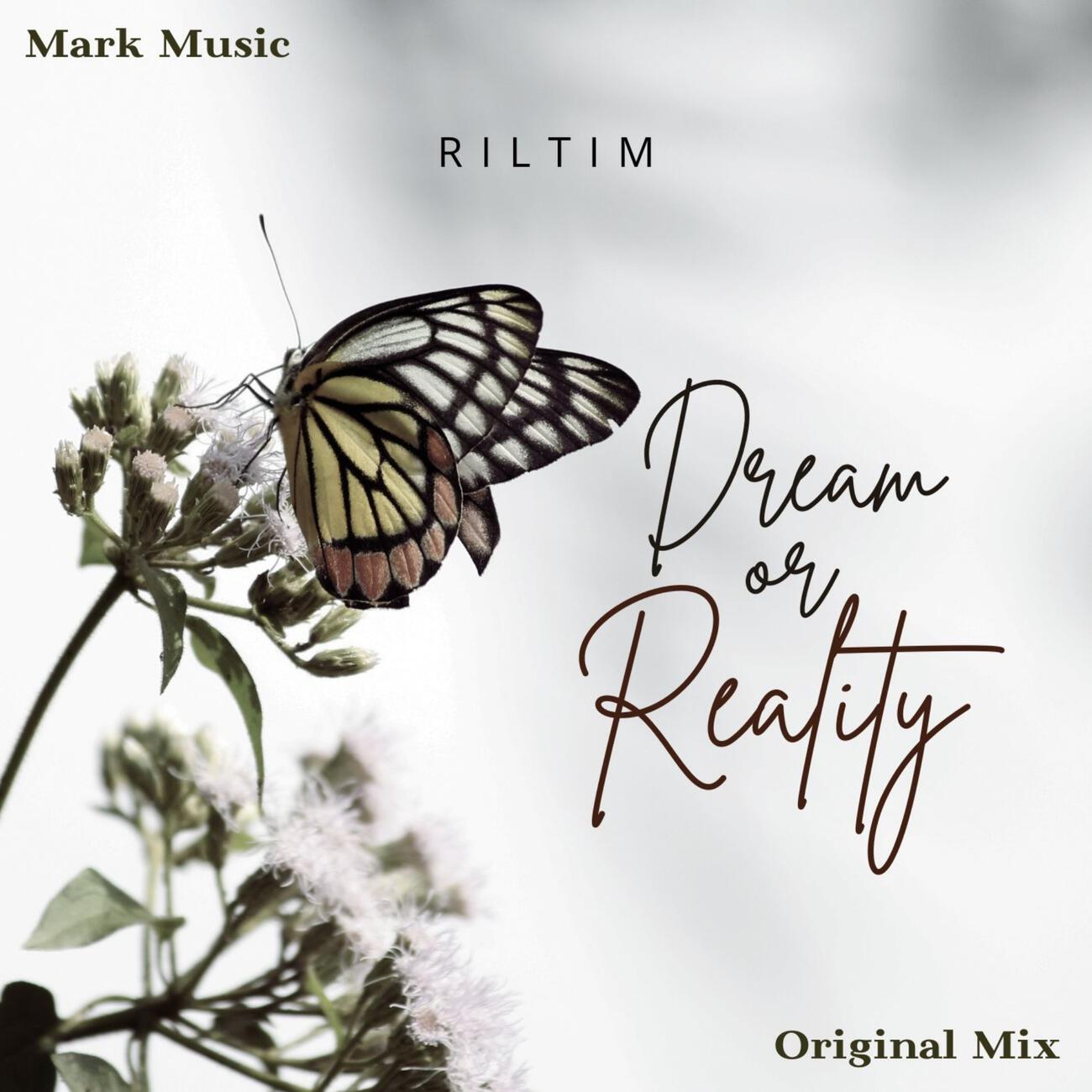 Релиз Dream or Reality