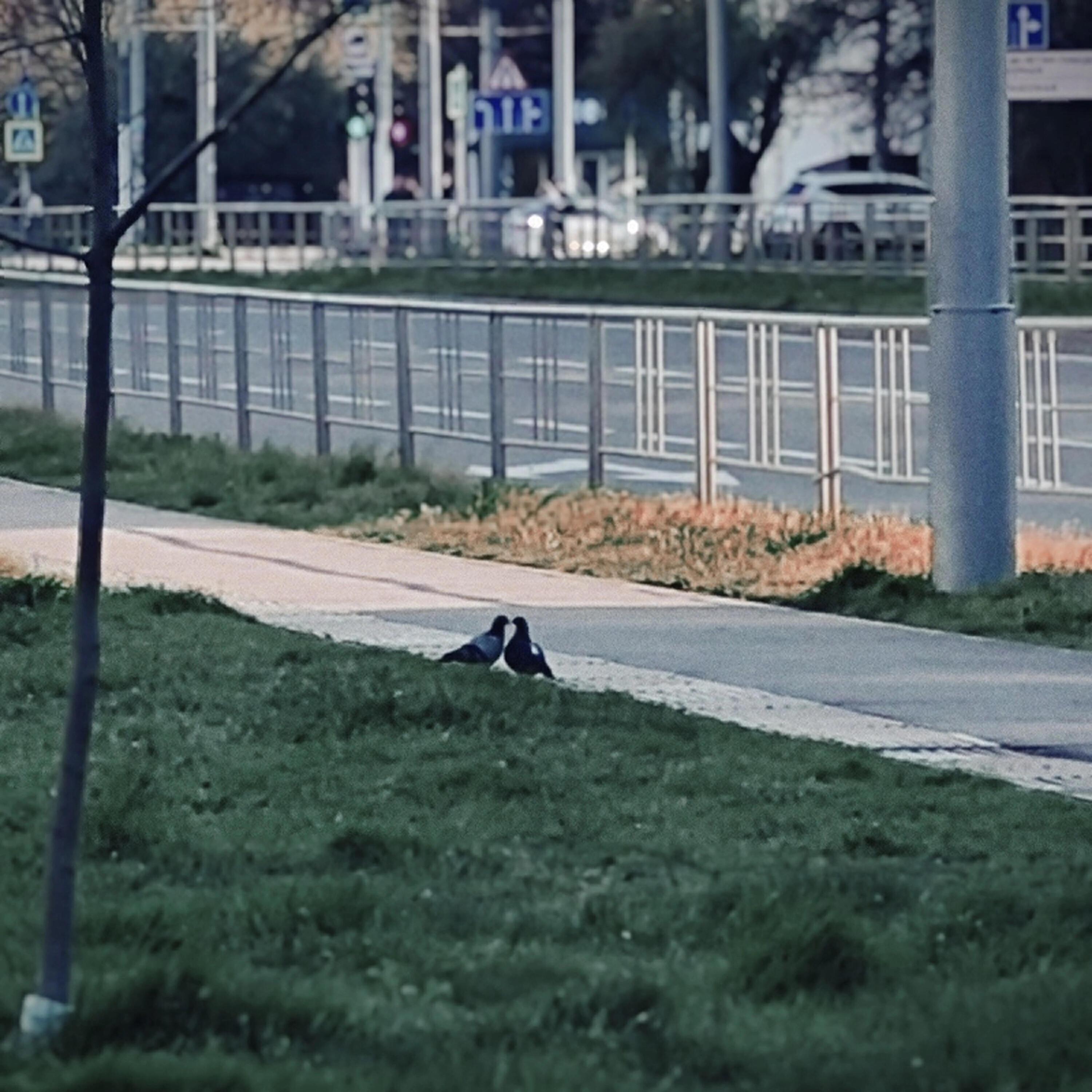 Обложка артиста