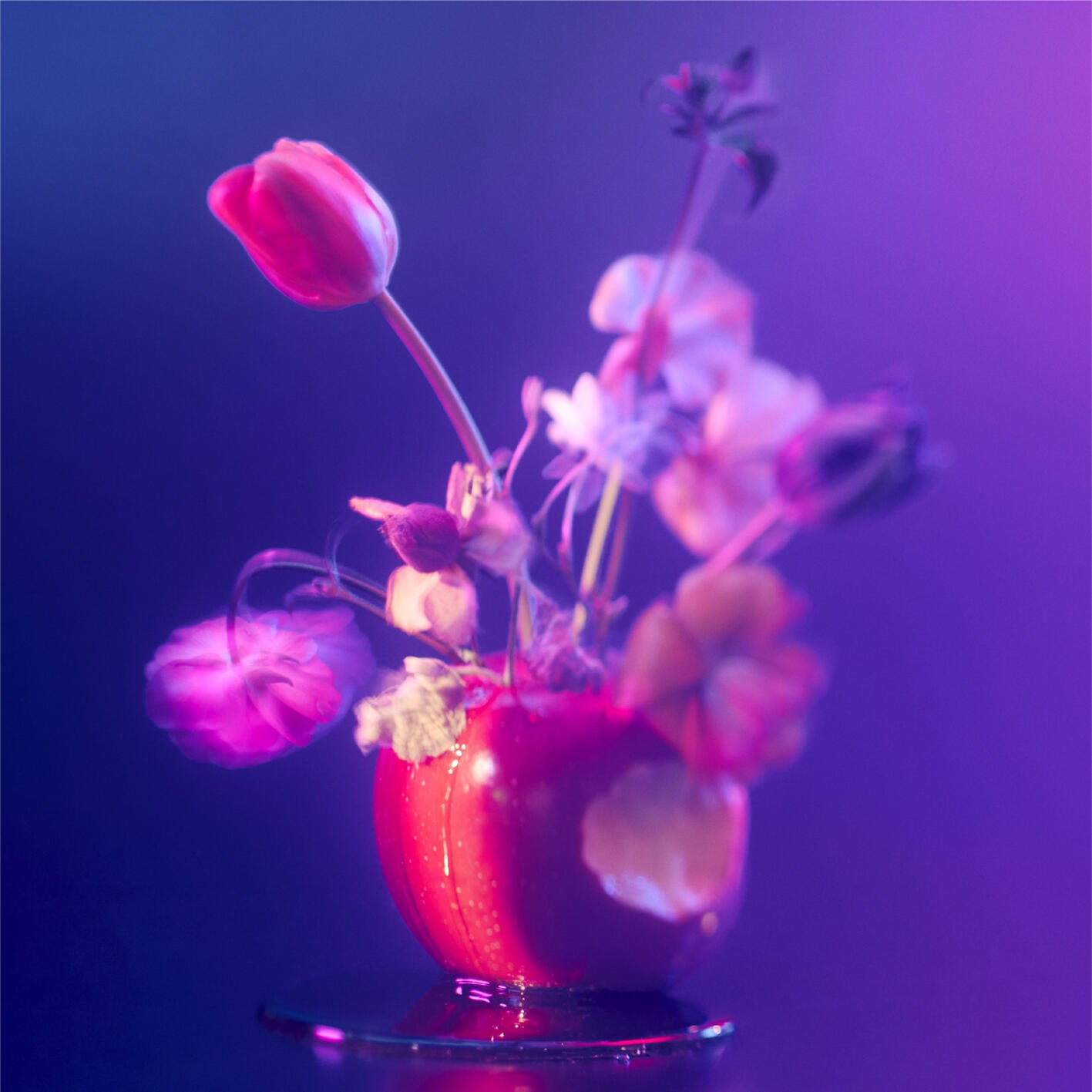 Релиз ラストシーン