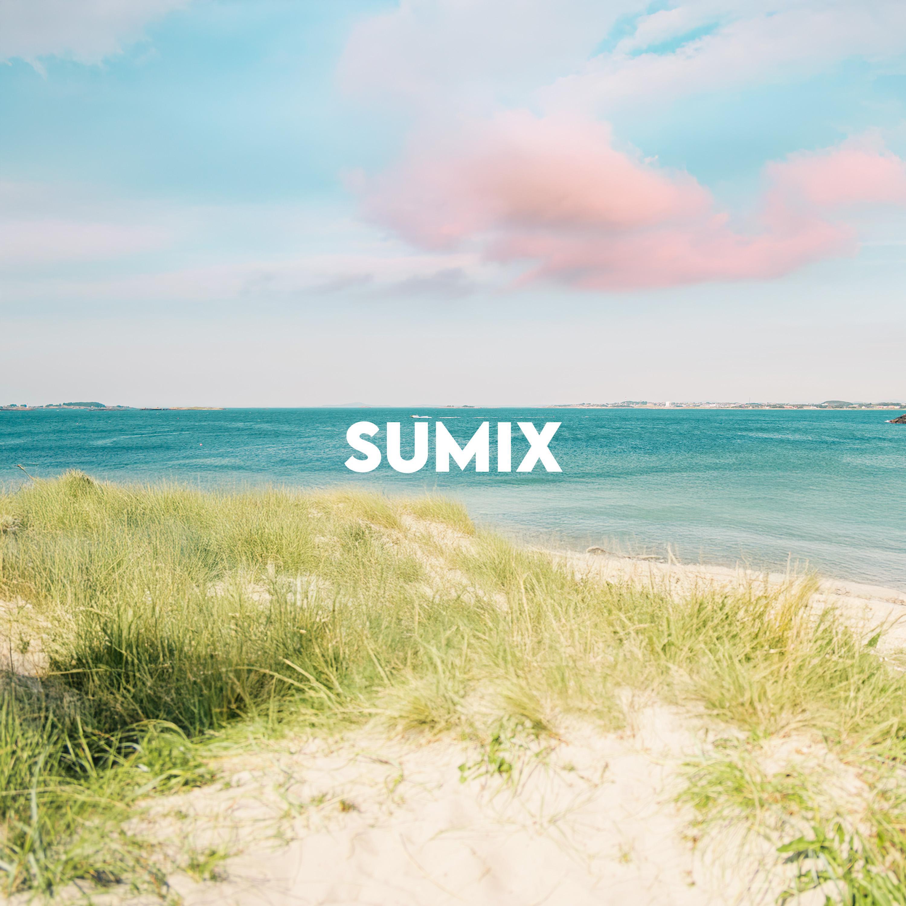 Релиз Summer Skies