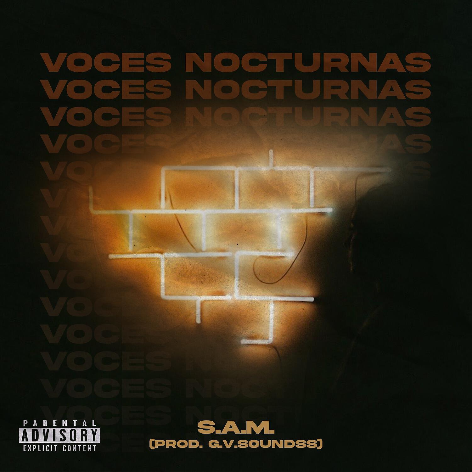 Постер альбома Voces Nocturnas