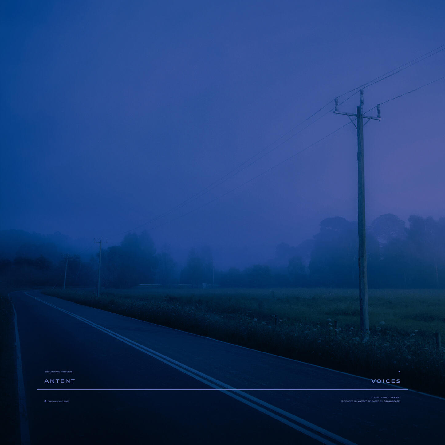 Релиз voices