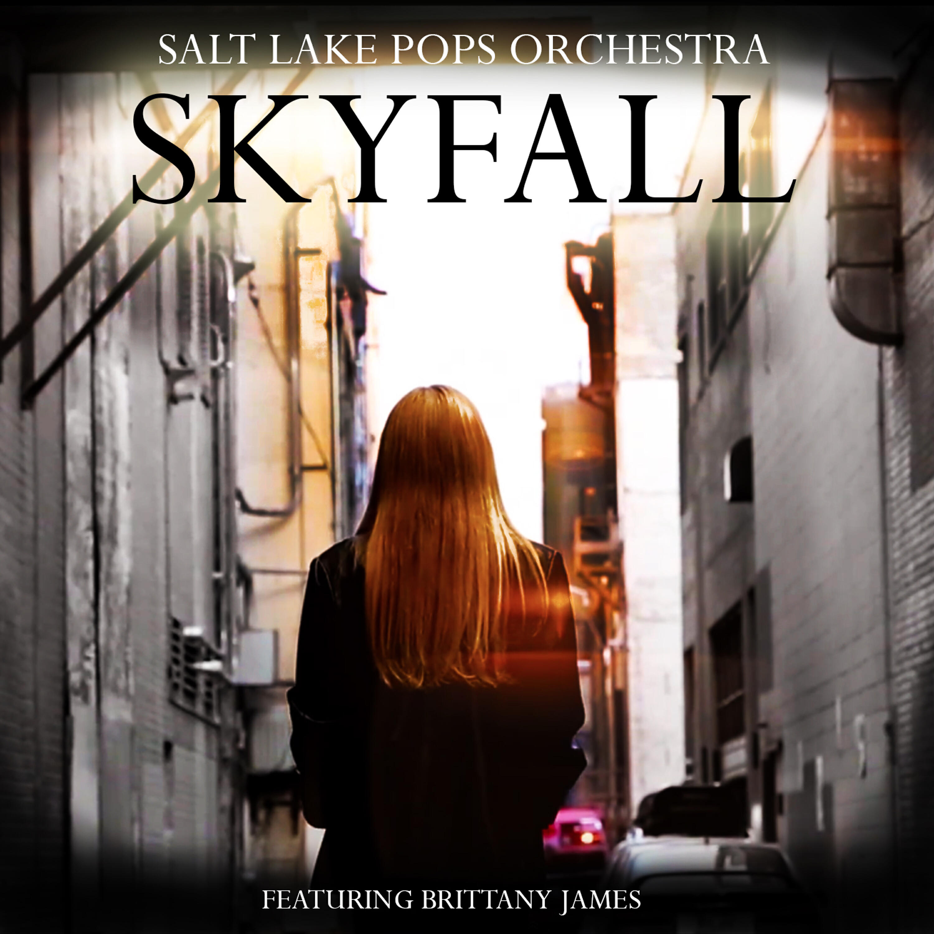 Релиз Skyfall (feat. Brittany James)