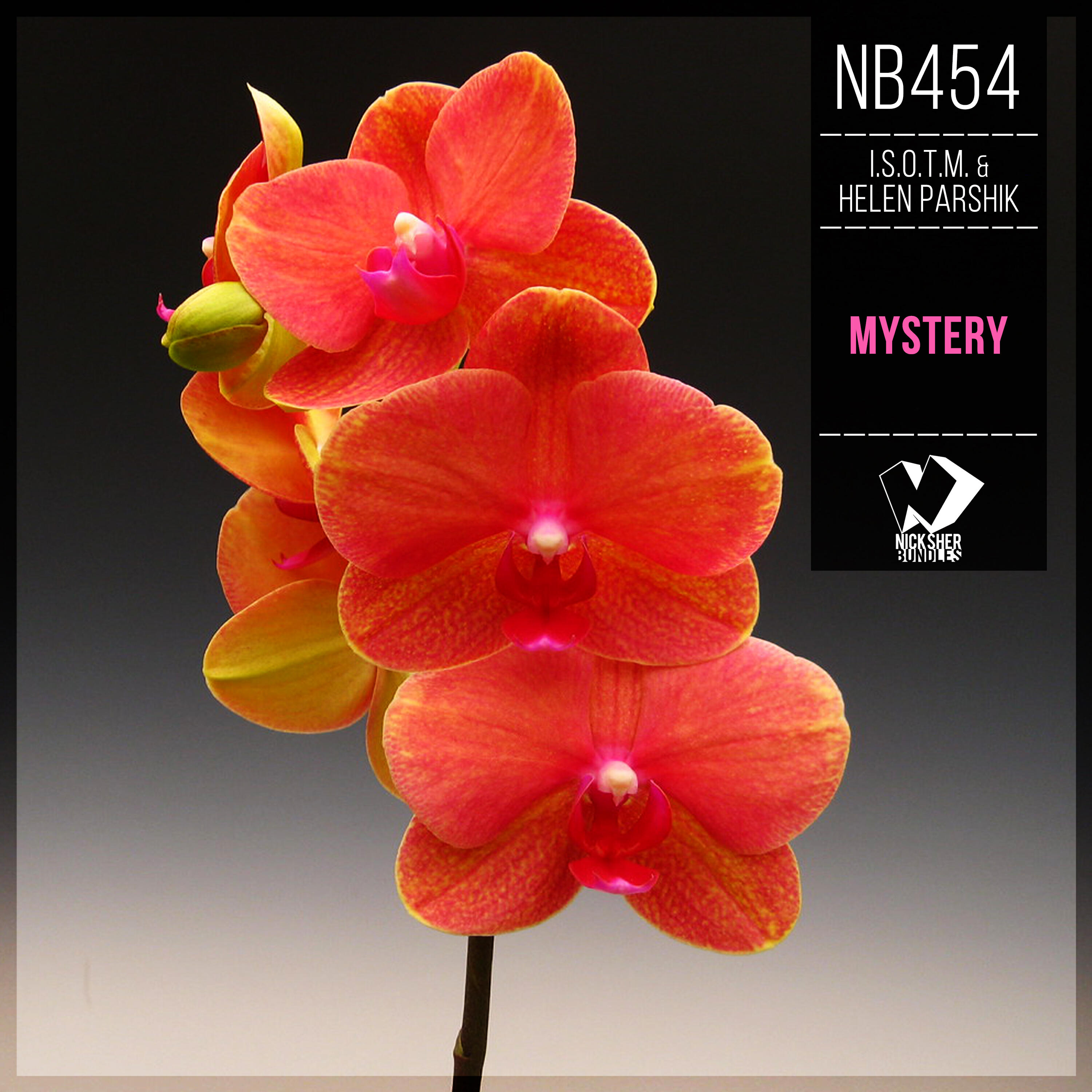Релиз Mystery