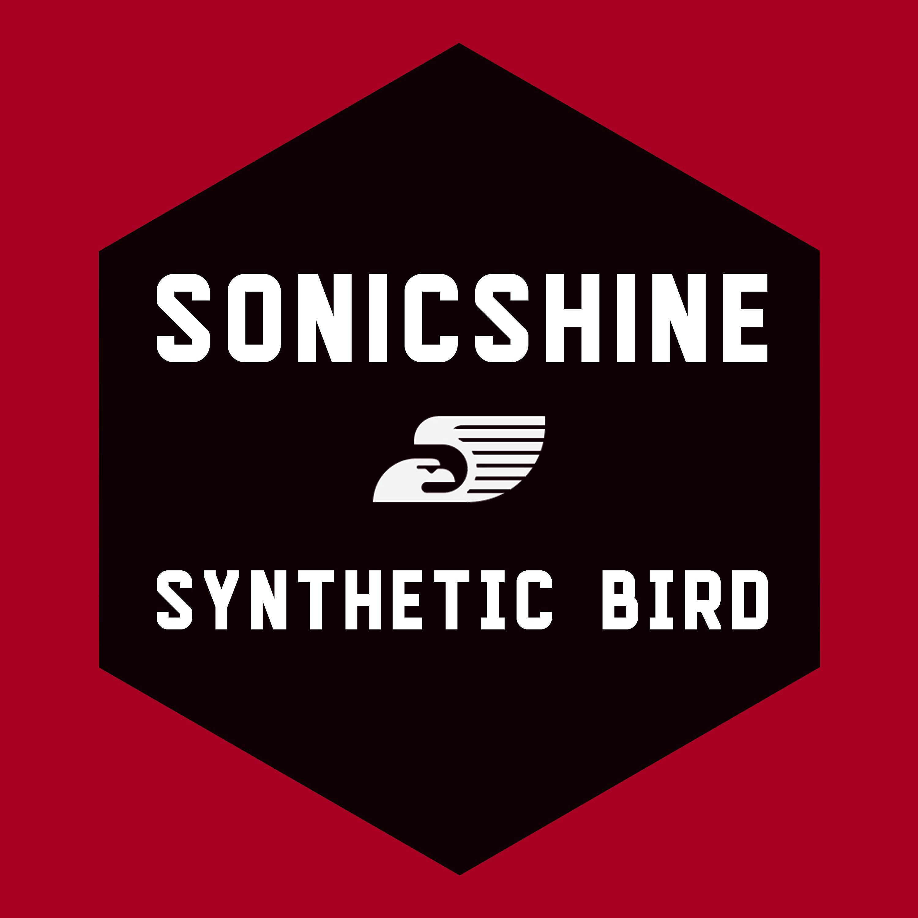 Релиз Synthetic Bird