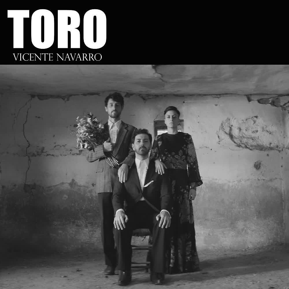 Релиз Toro