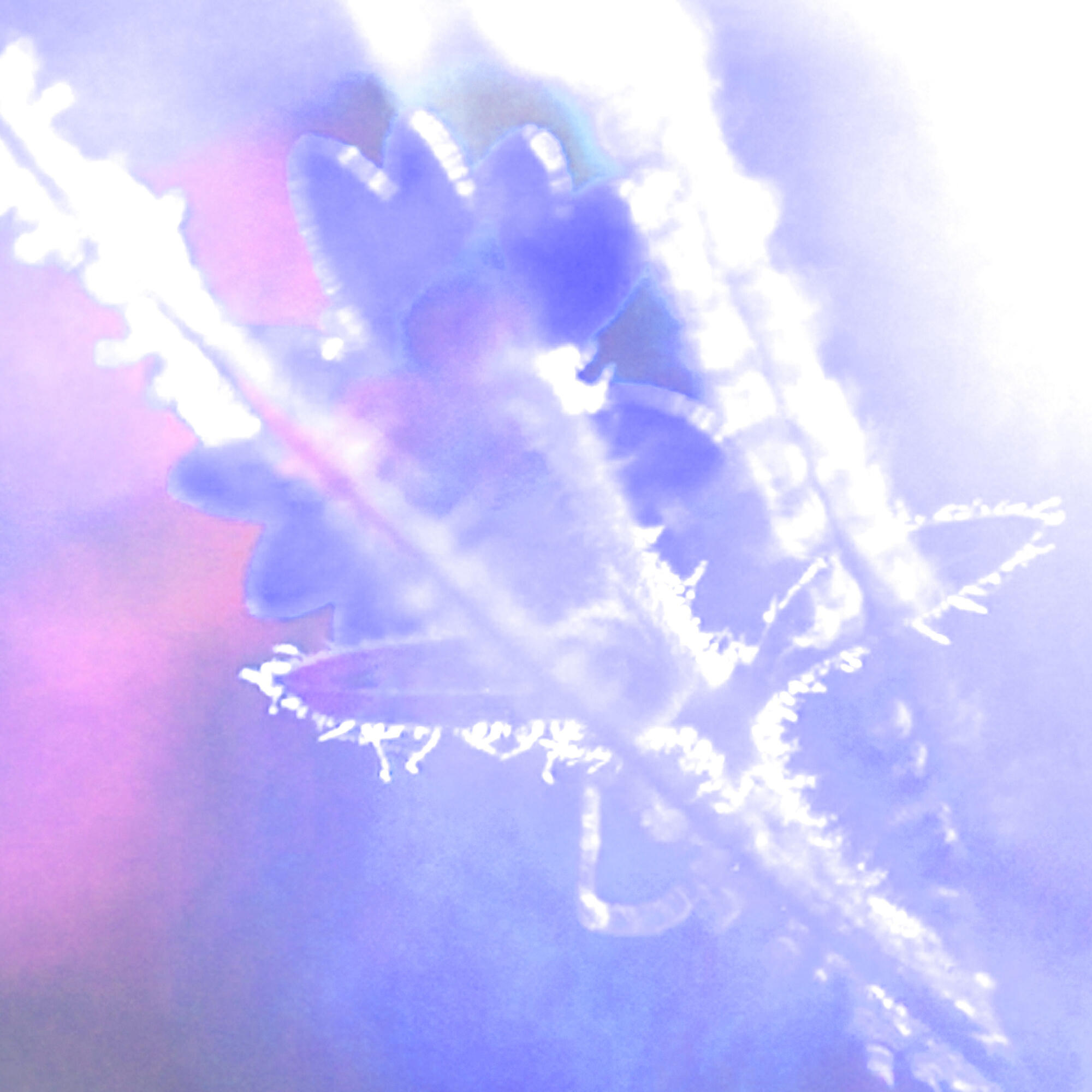 Релиз Signs Of Life