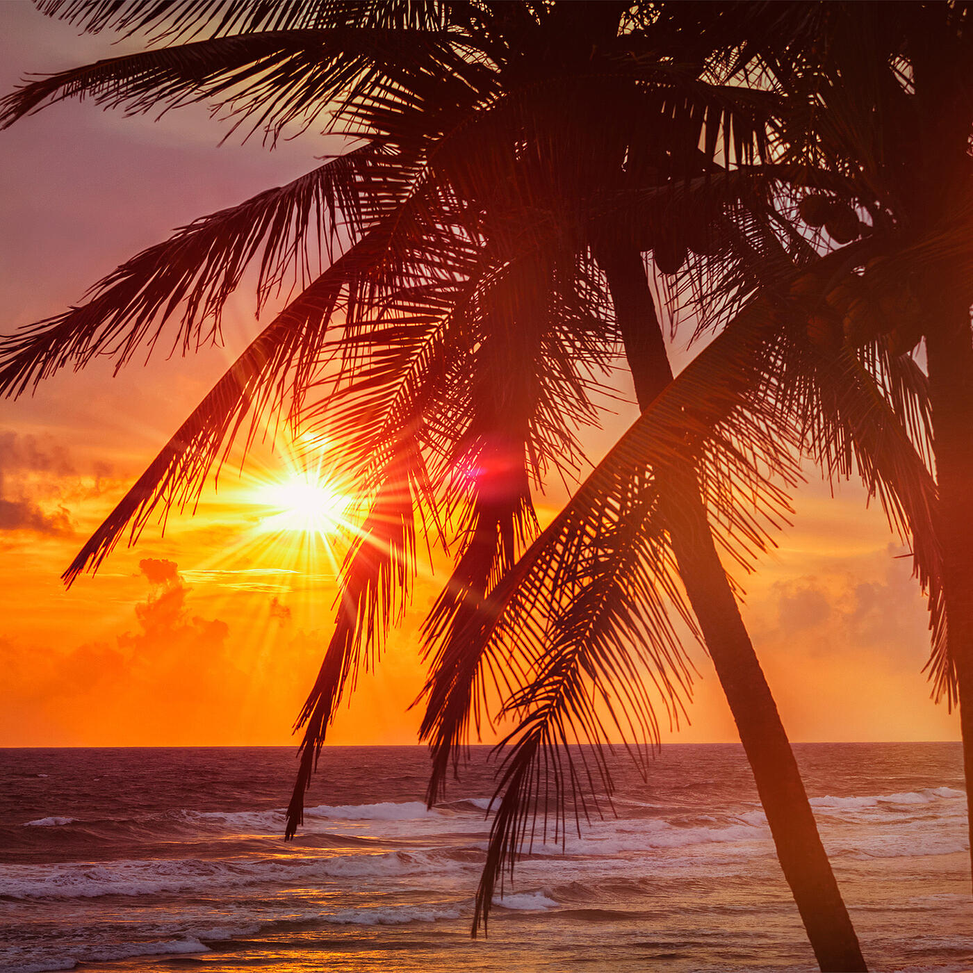 Релиз Autumn Story