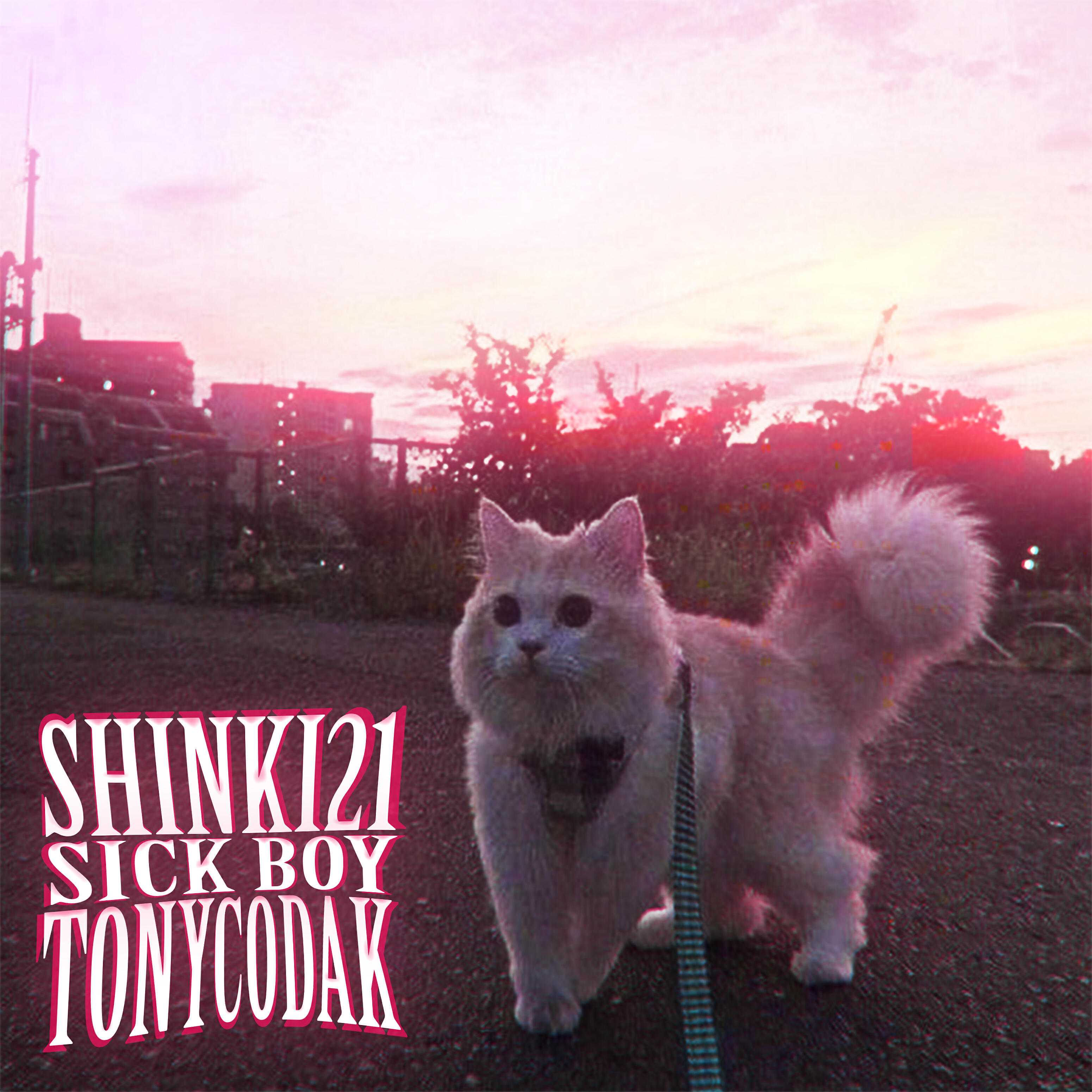 Релиз Sick Boy (Remix)