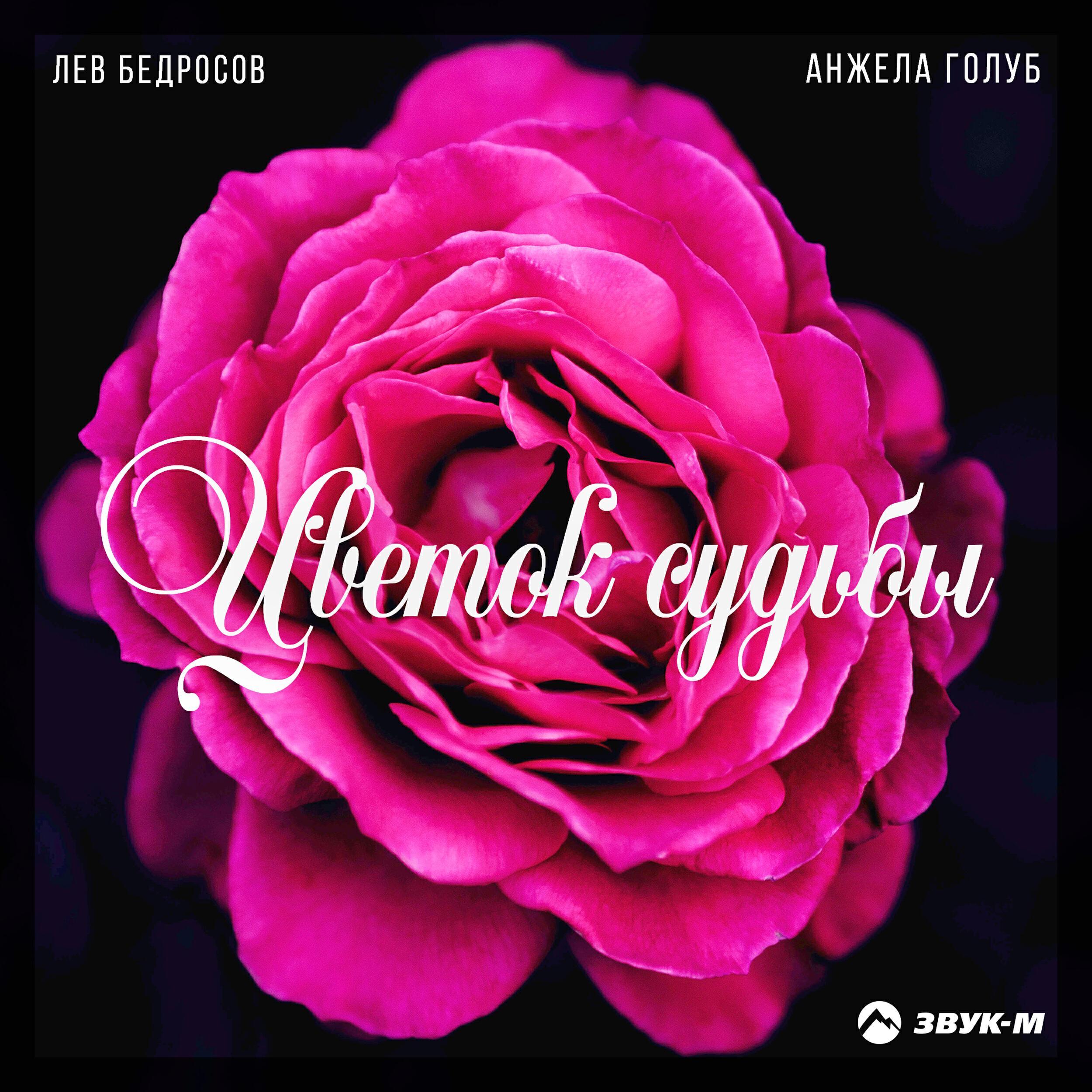Анжела Голуб