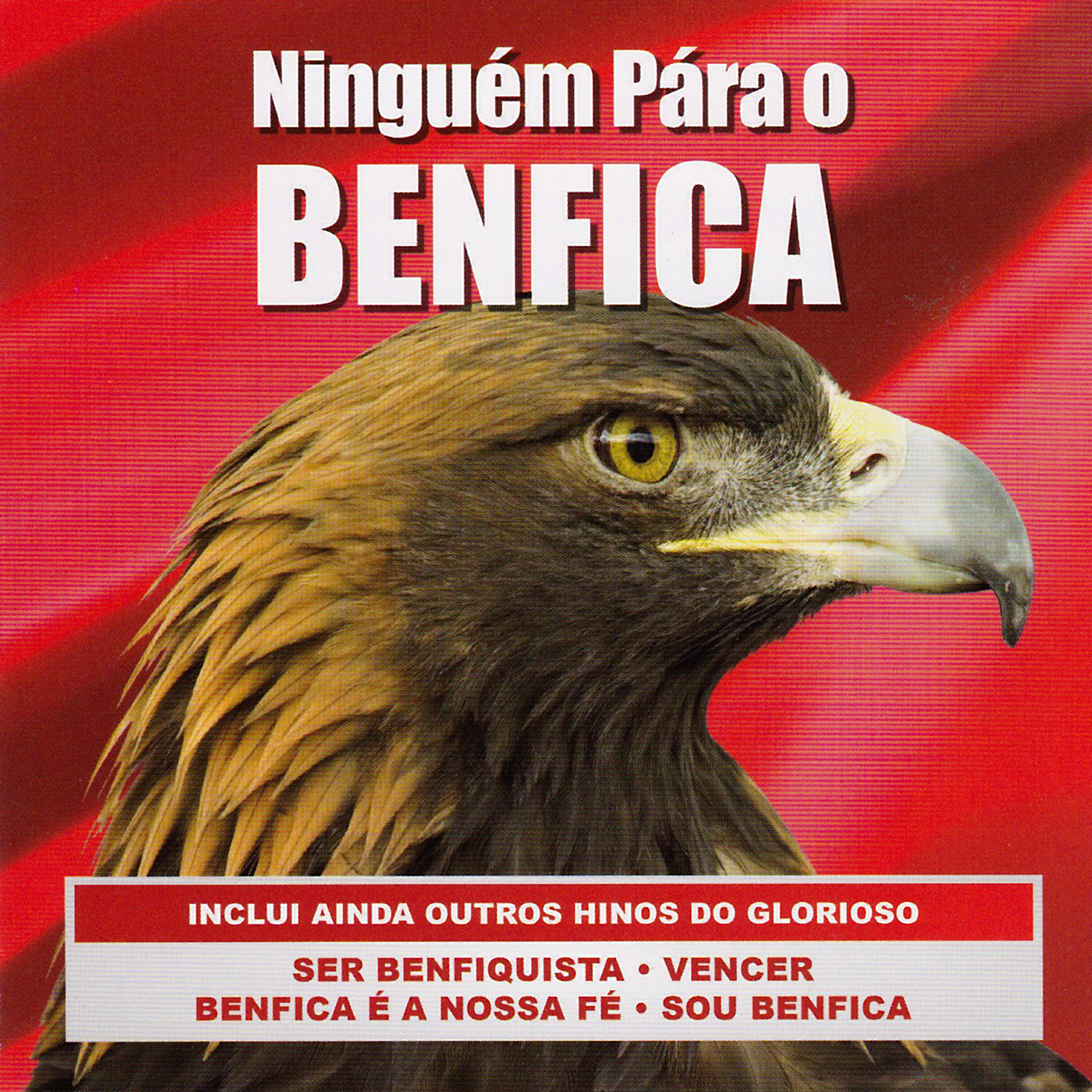 Grupo Ninguém Pára O Benfica
