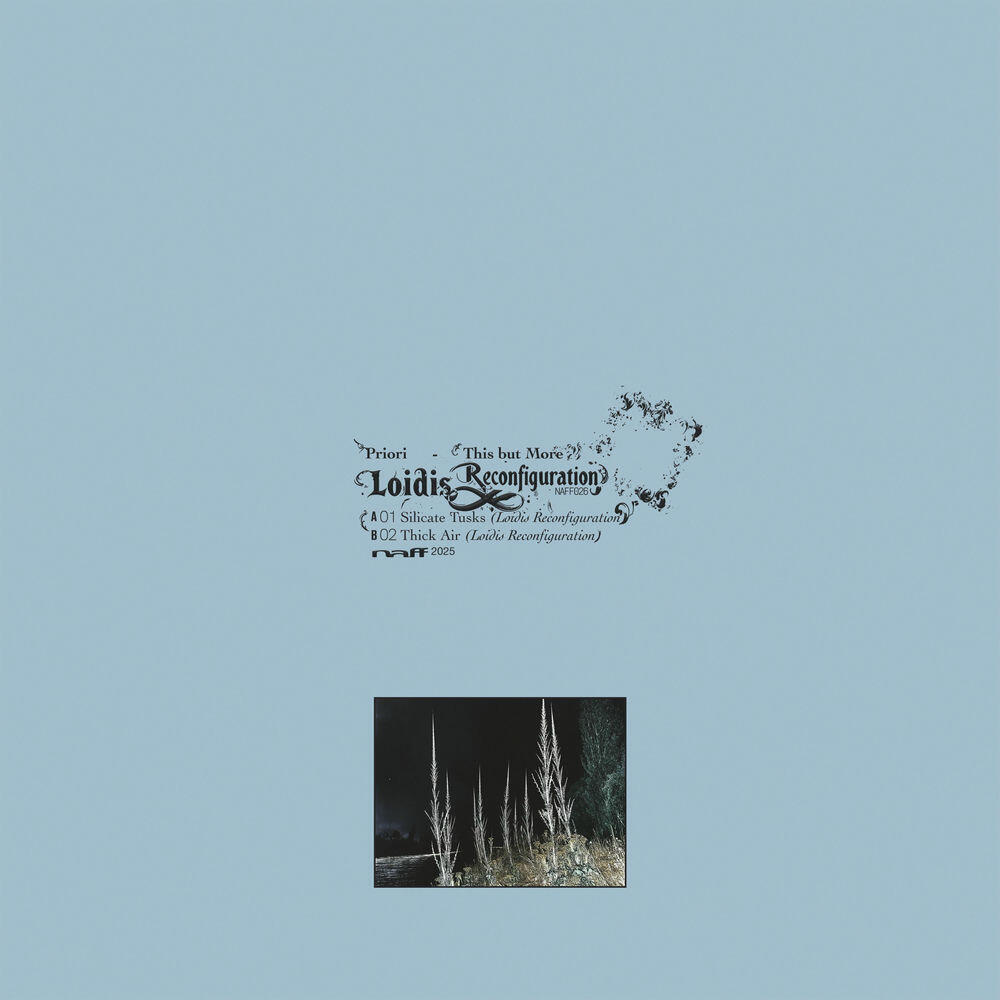 Релиз This but More (Loidis Reconfiguration)