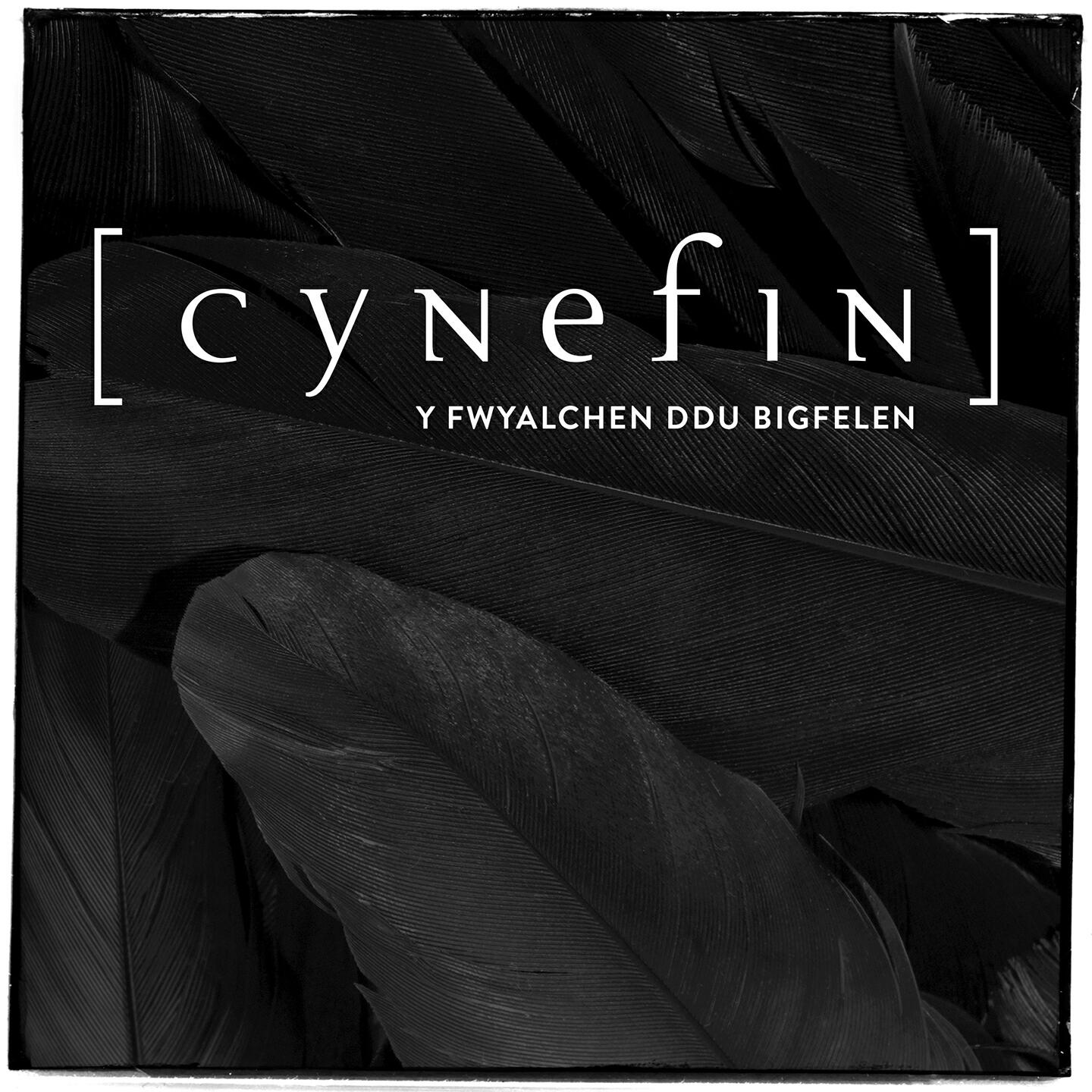 Релиз Y Fwyalchen Ddu Bigfelen