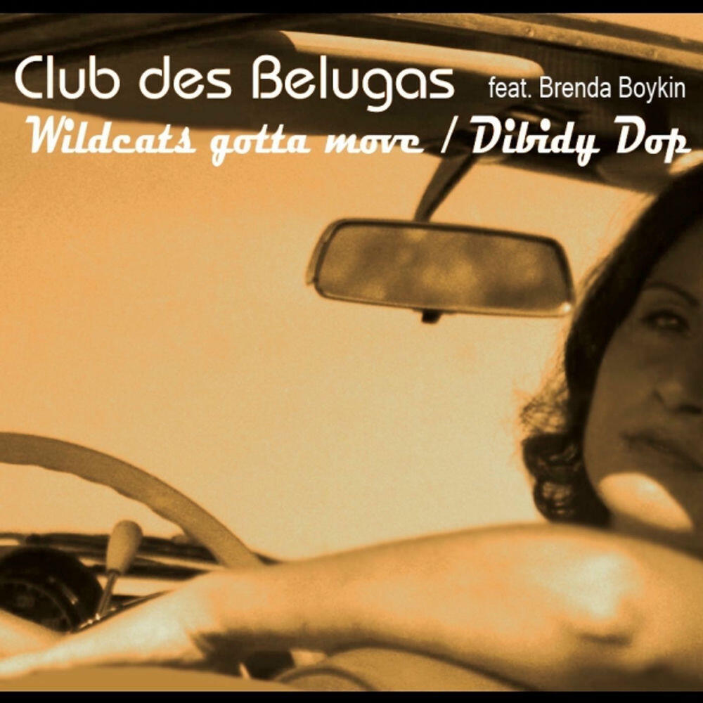 Релиз Wildcats & Dibidy Dop