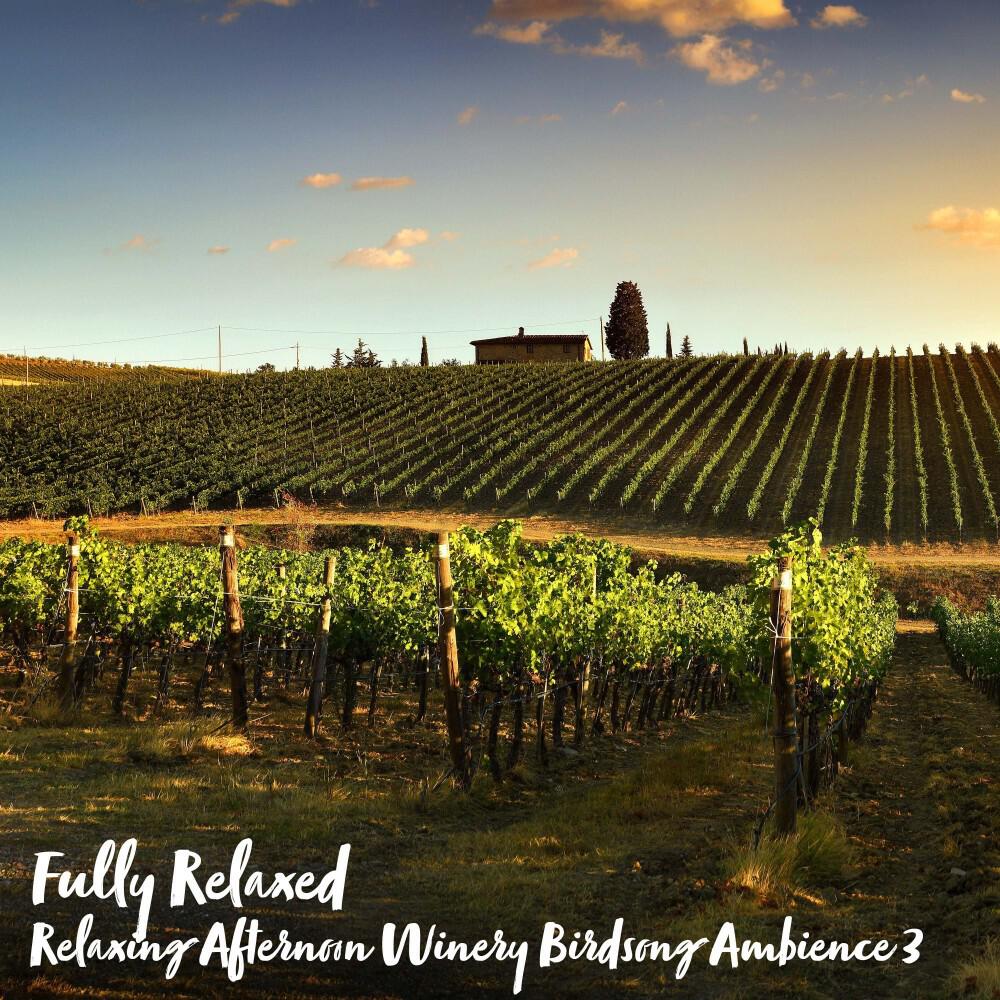Релиз Fully Relaxed: Relaxing Afternoon Winery Birdsong Ambience 3