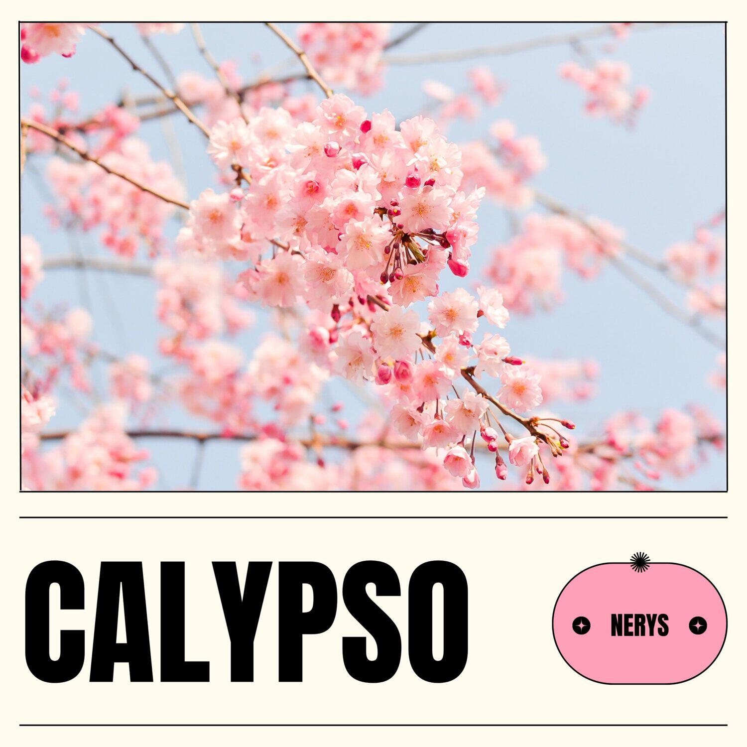 Релиз Calypso
