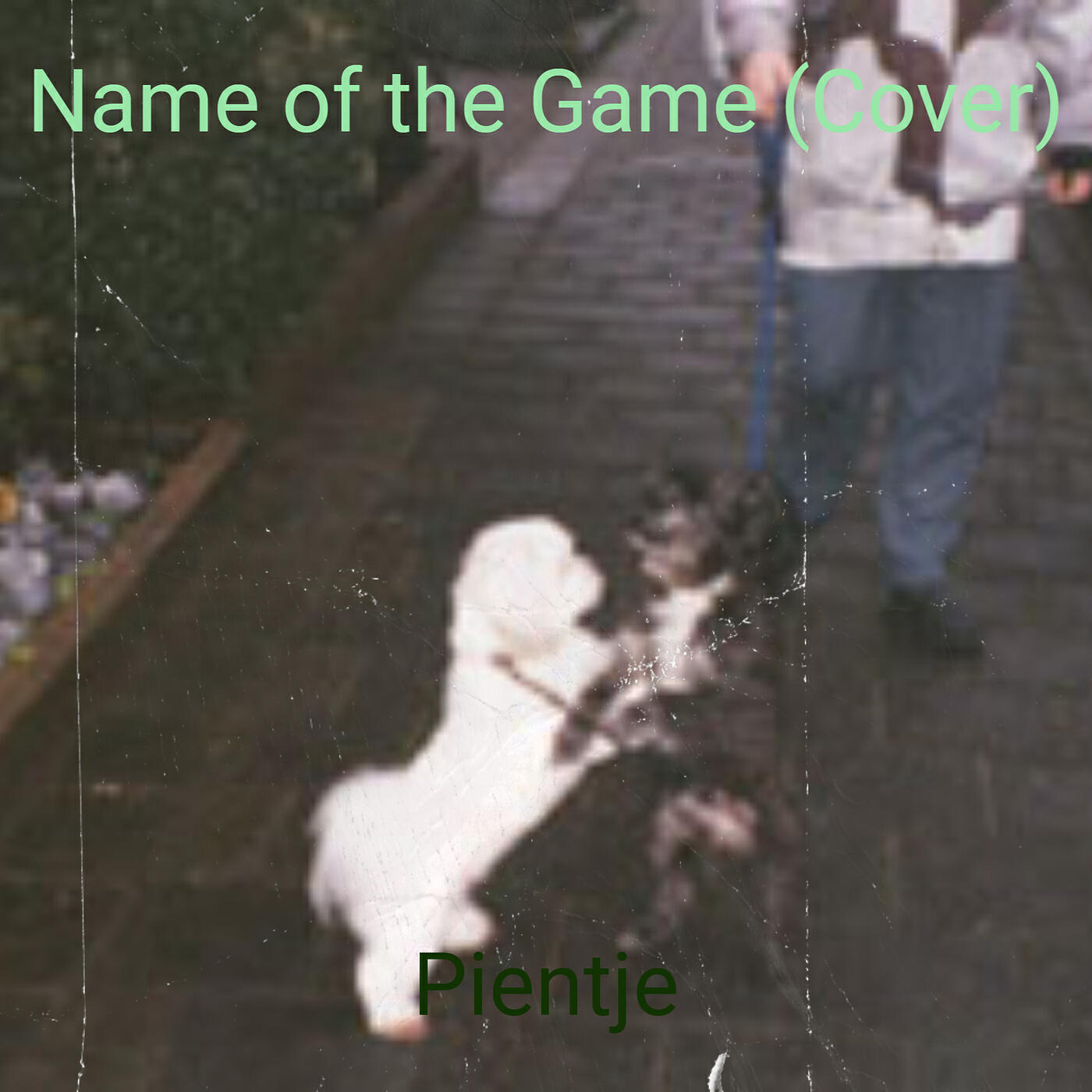 Релиз Name of the Game (Cover)