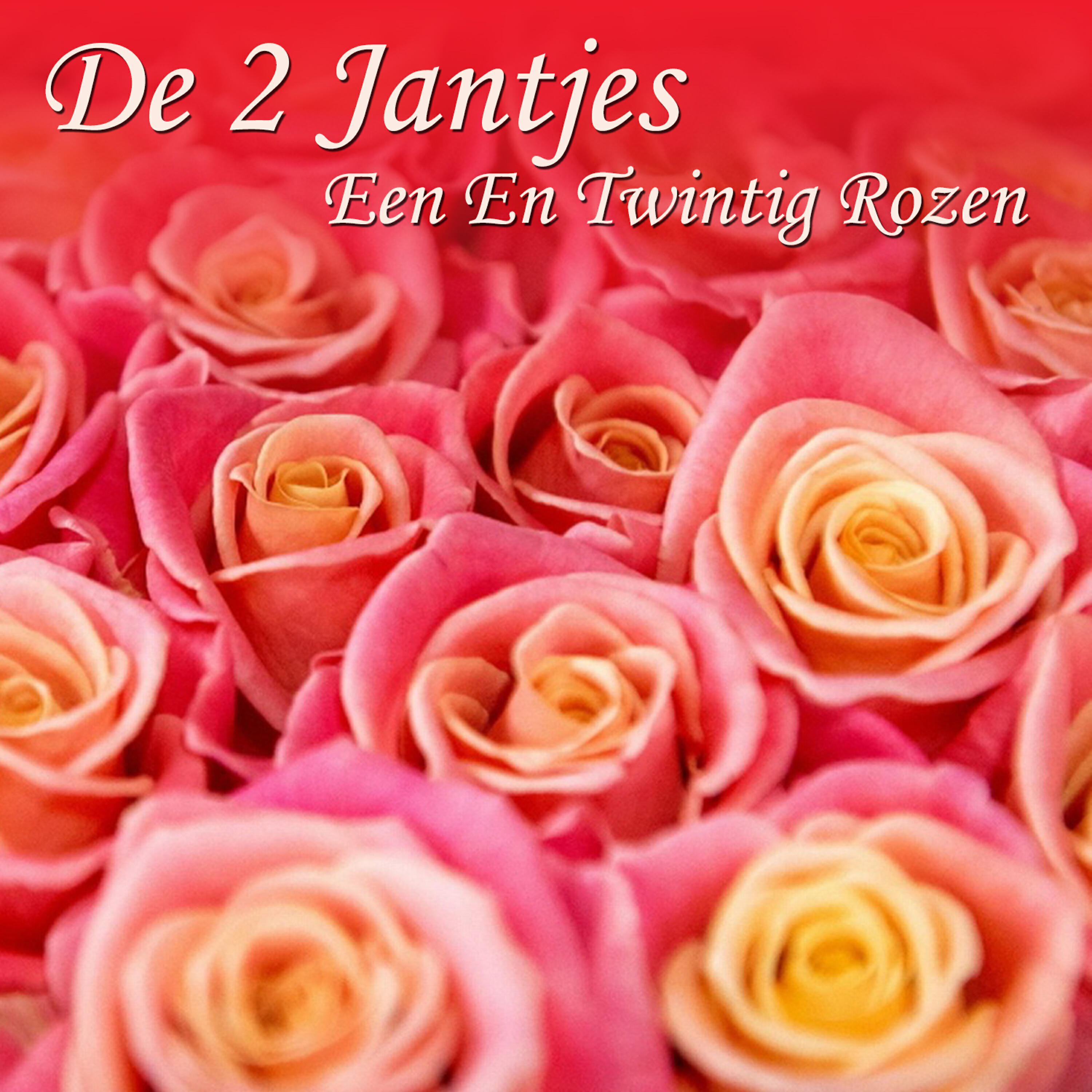 Релиз Een En Twintig Rozen