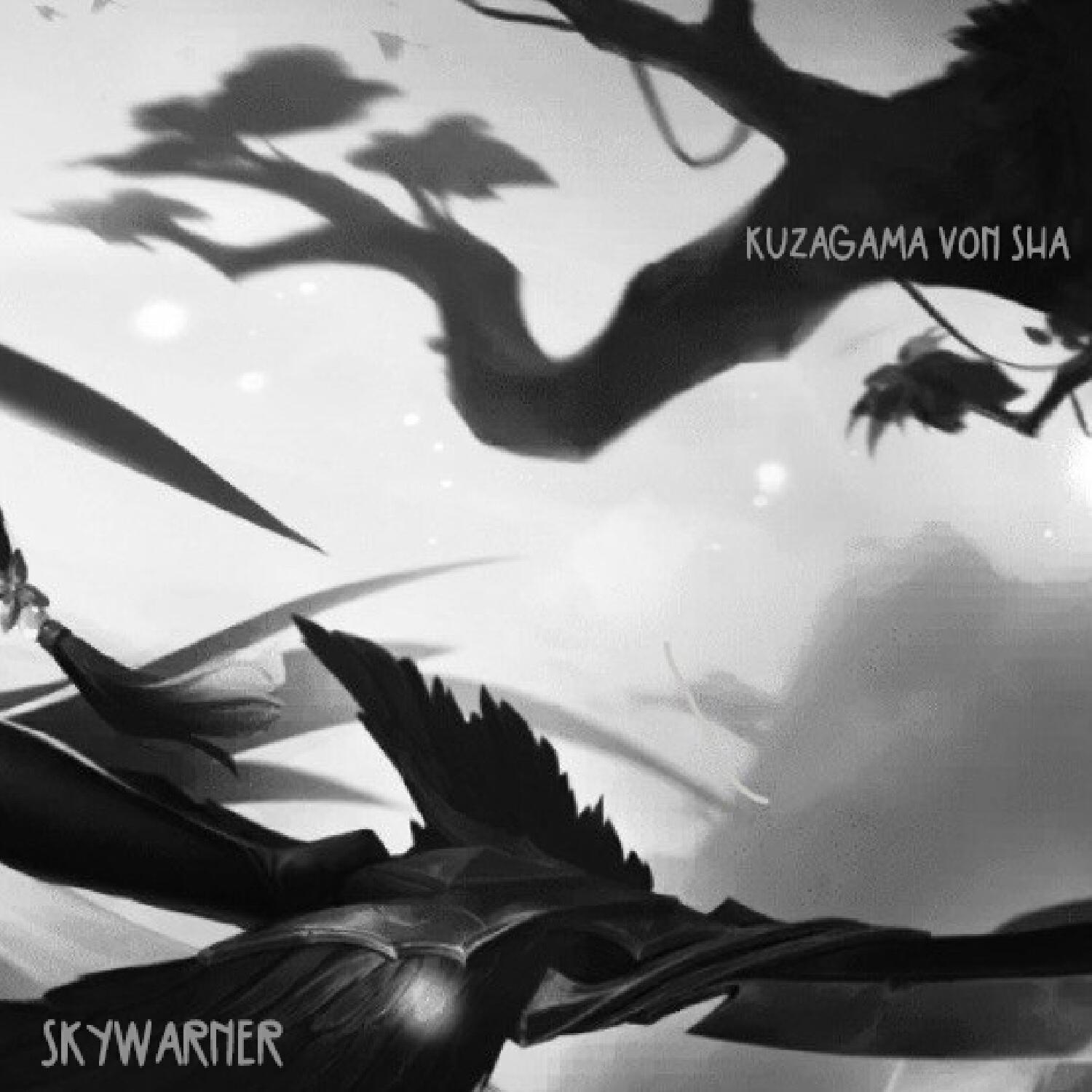SkyWarner