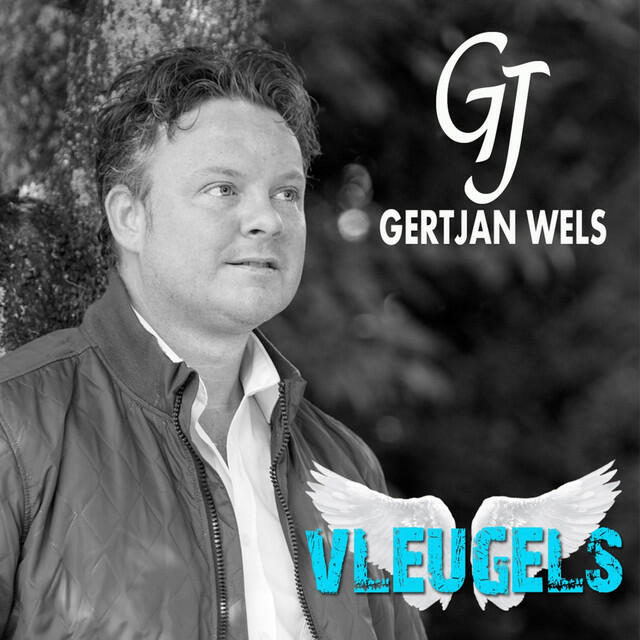 Релиз Vleugels