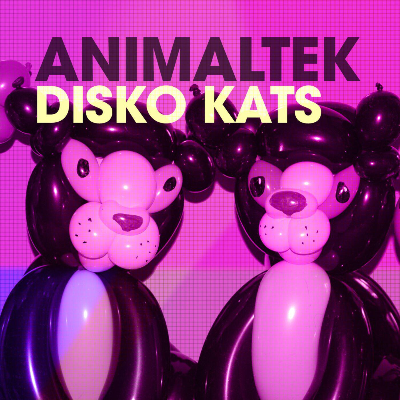 Релиз Disko Kats