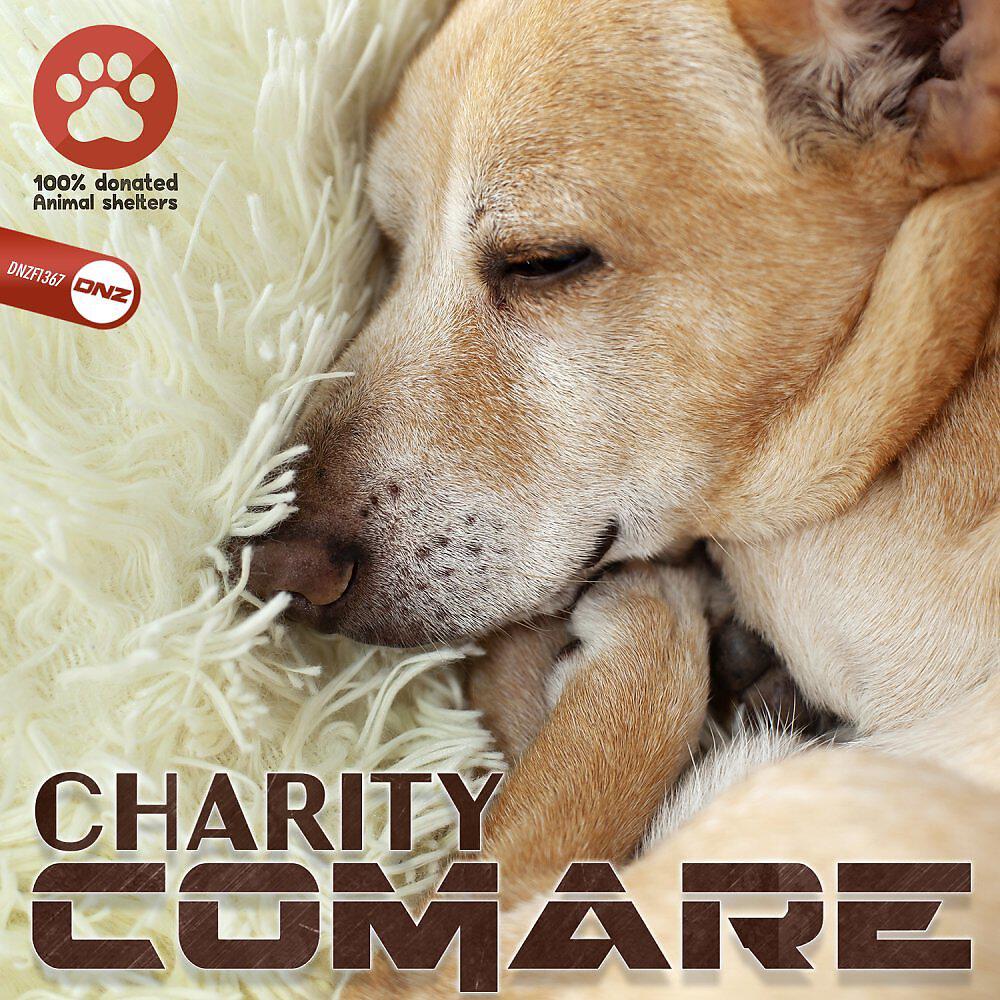 Релиз Charity