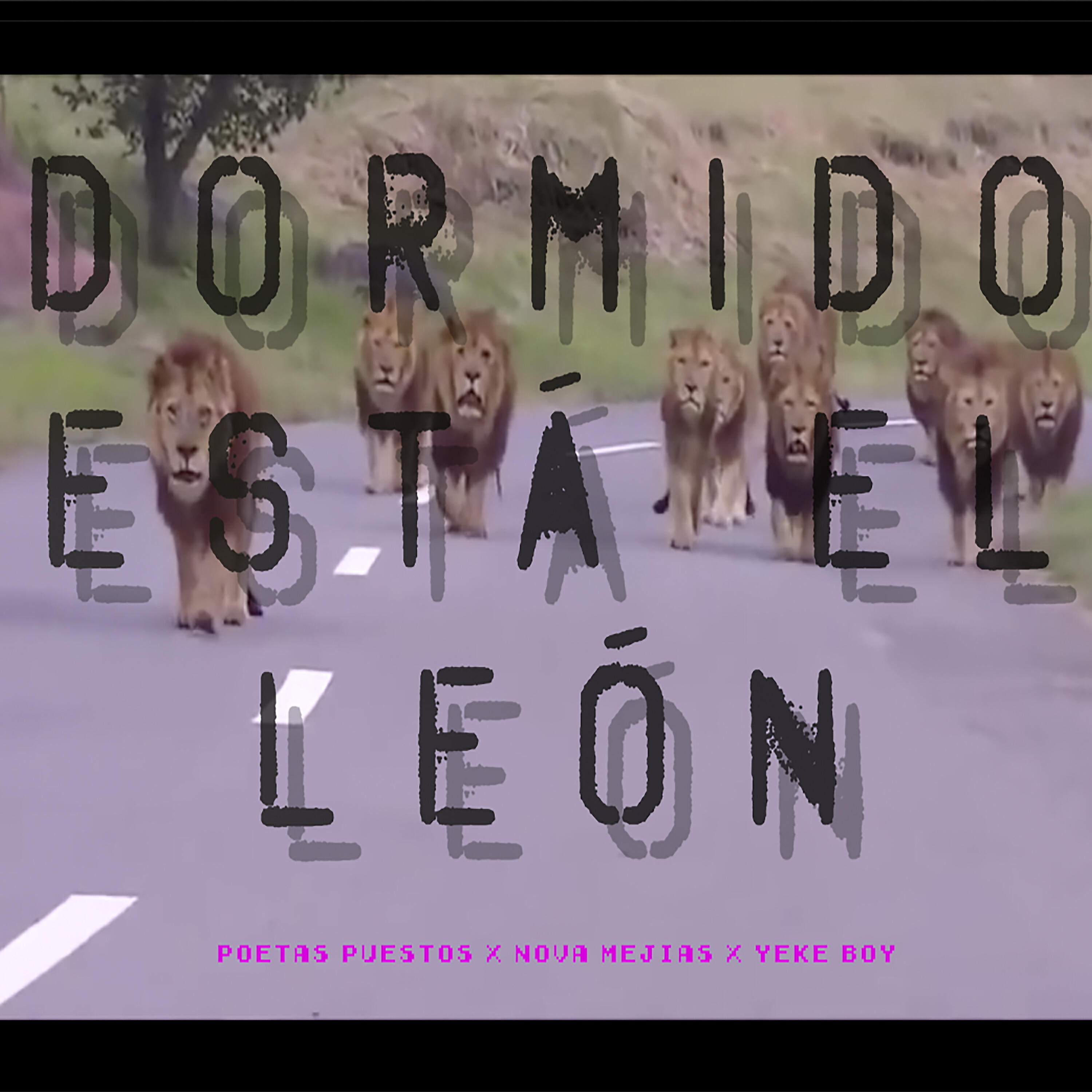 Релиз Dormido Está el León