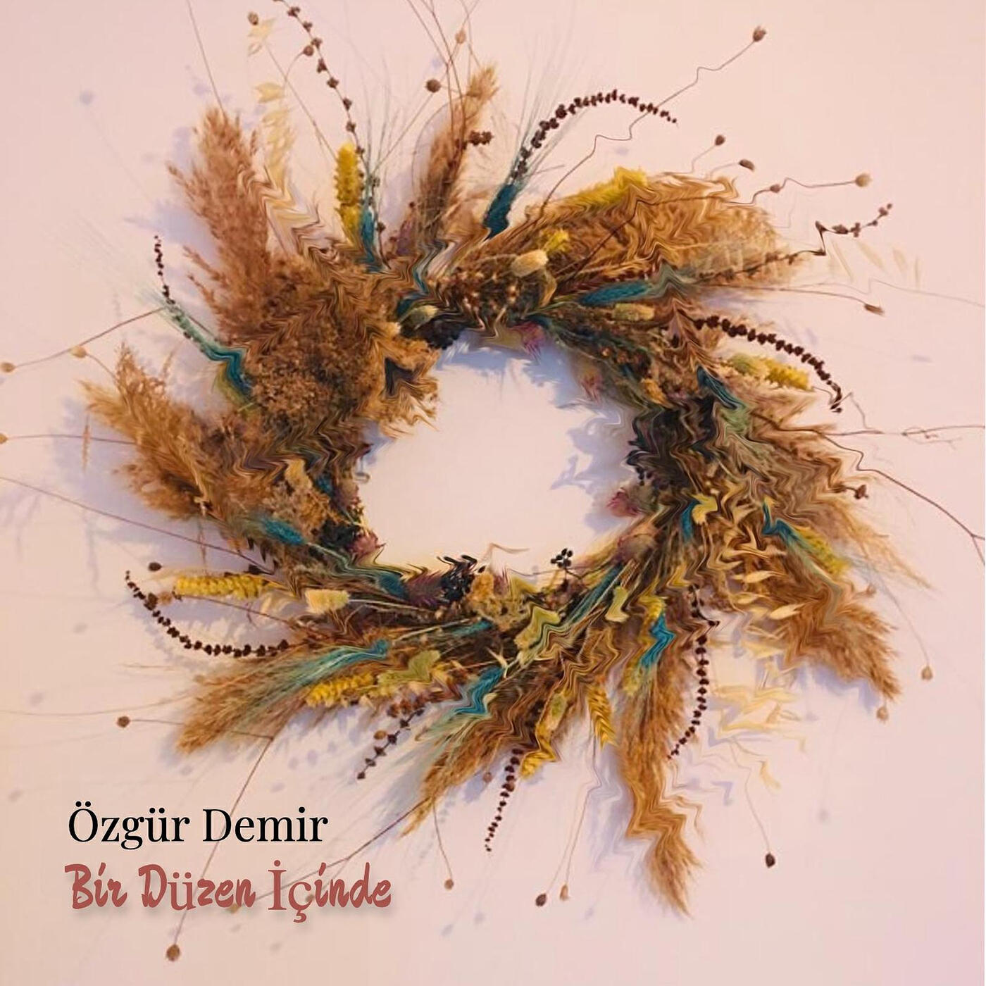 Релиз Bir Düzen İçinde