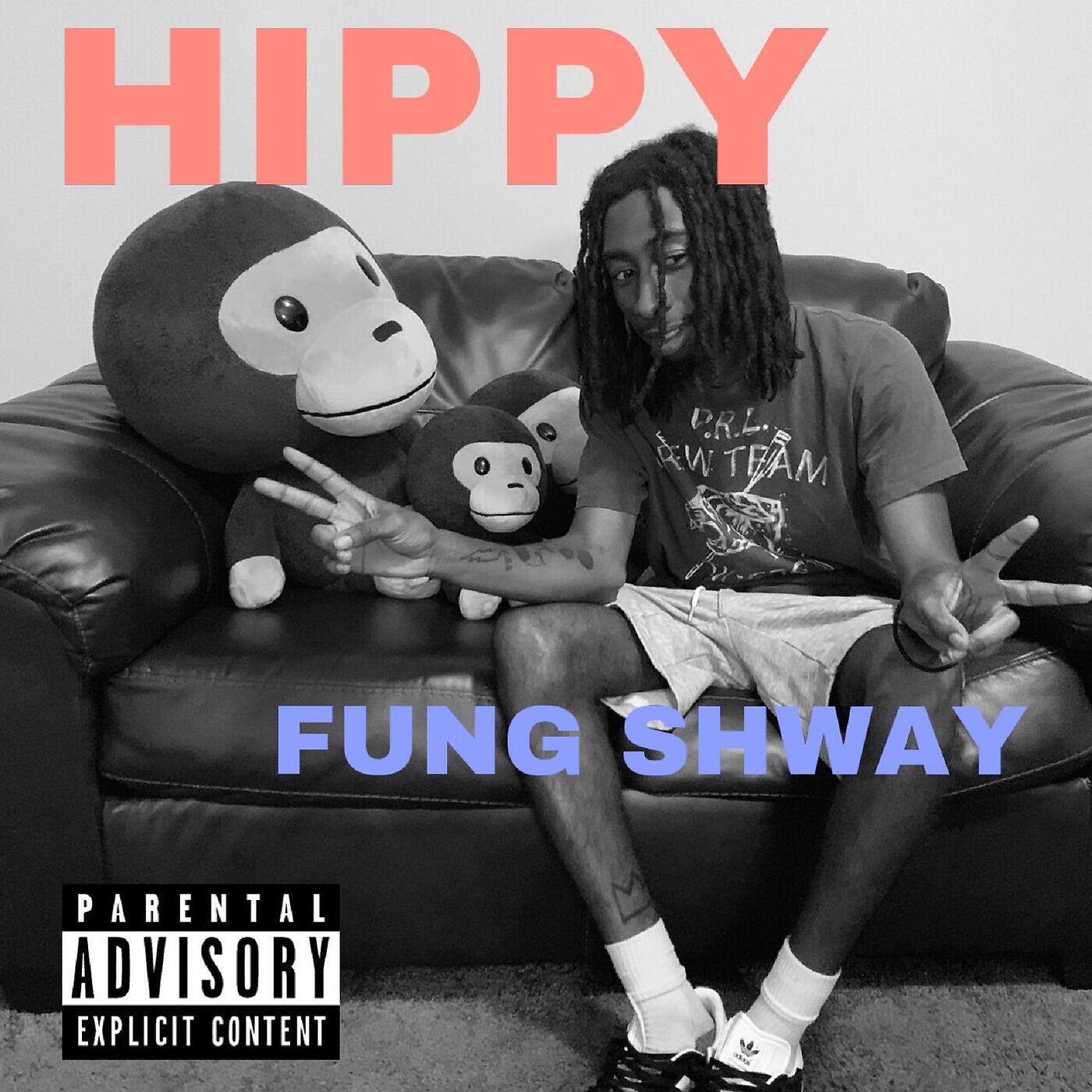 Релиз Hippy Fung Shway