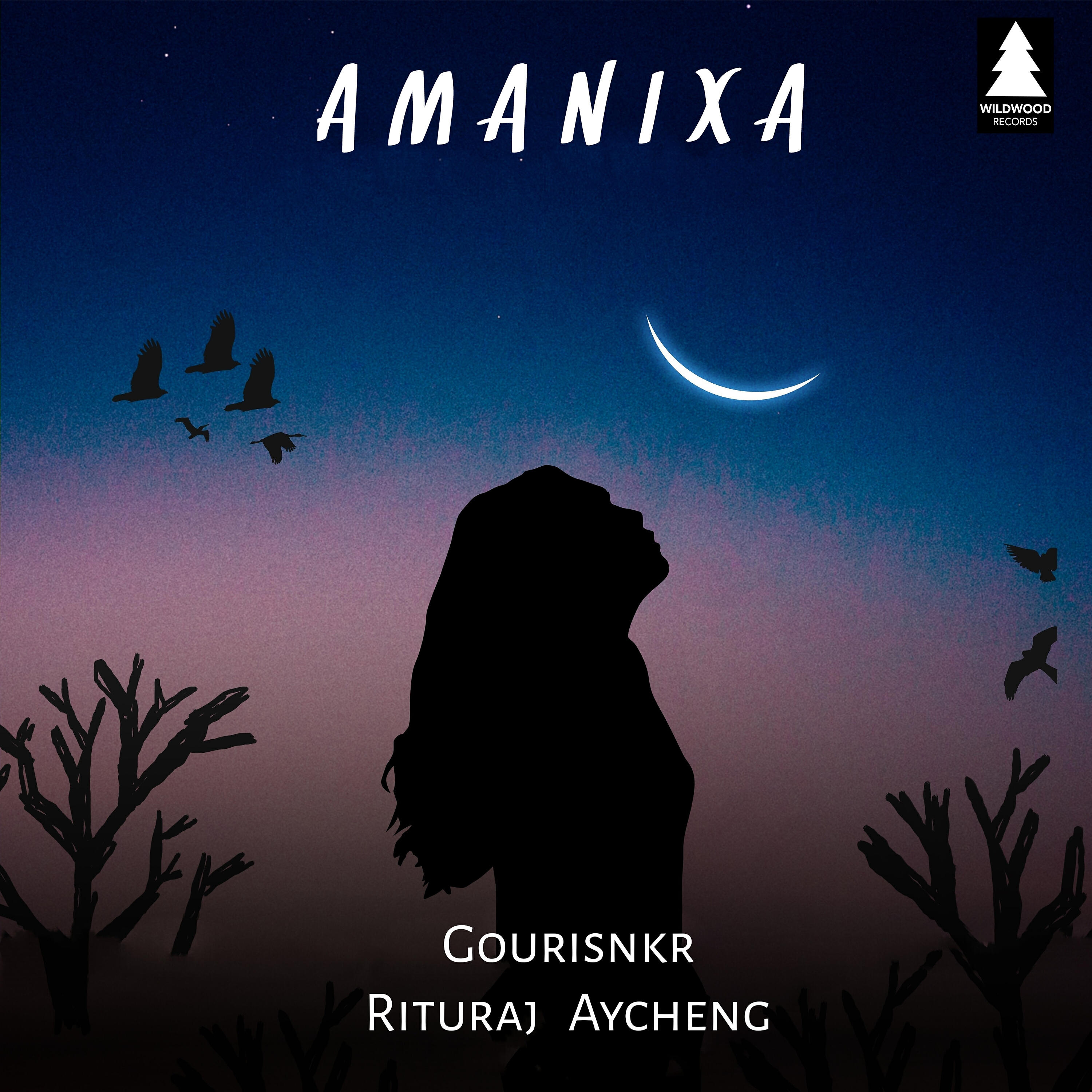 Релиз Amanixa - Single