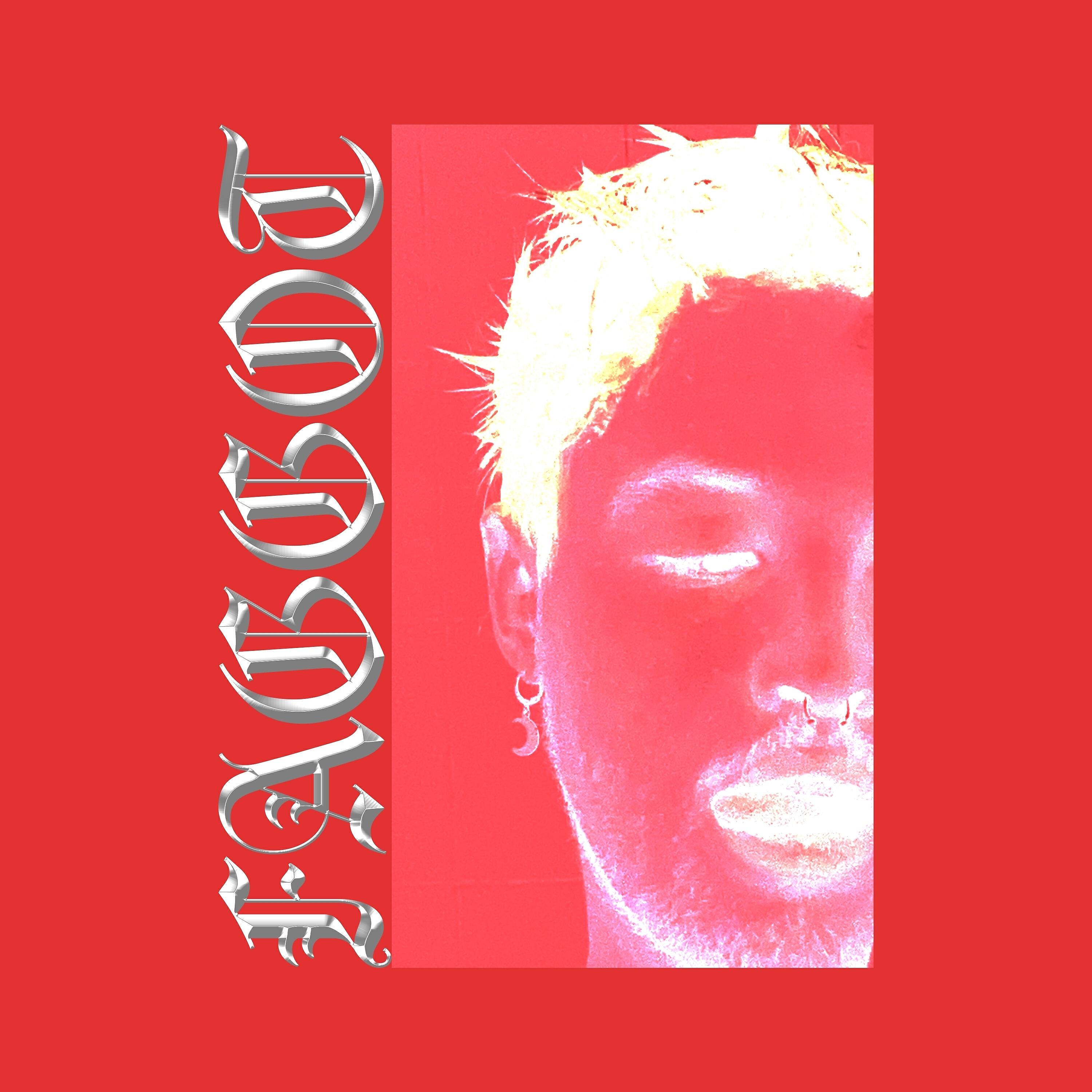 Релиз Faggot