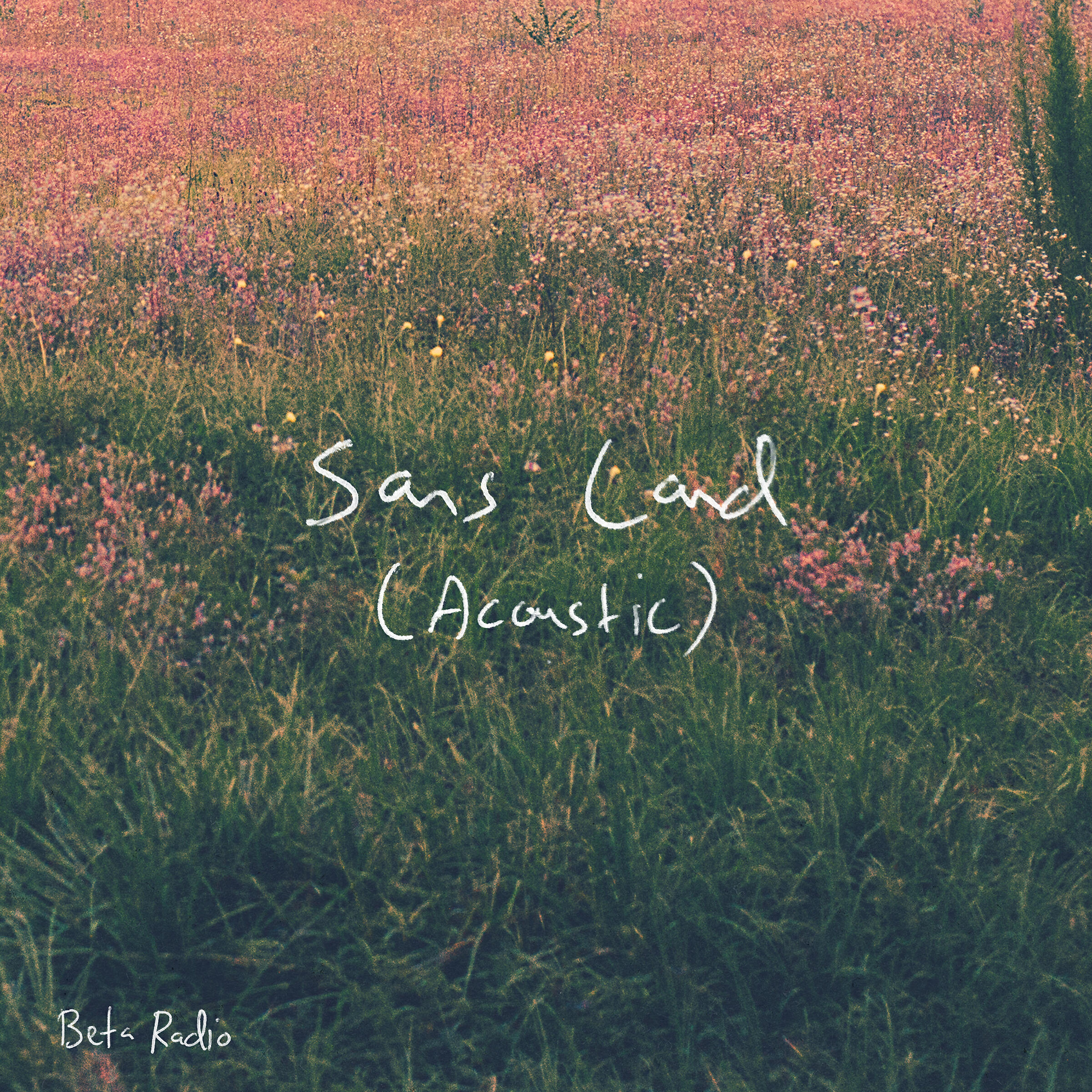 Релиз Sans Land (Acoustic)