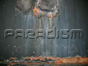 Paradigm