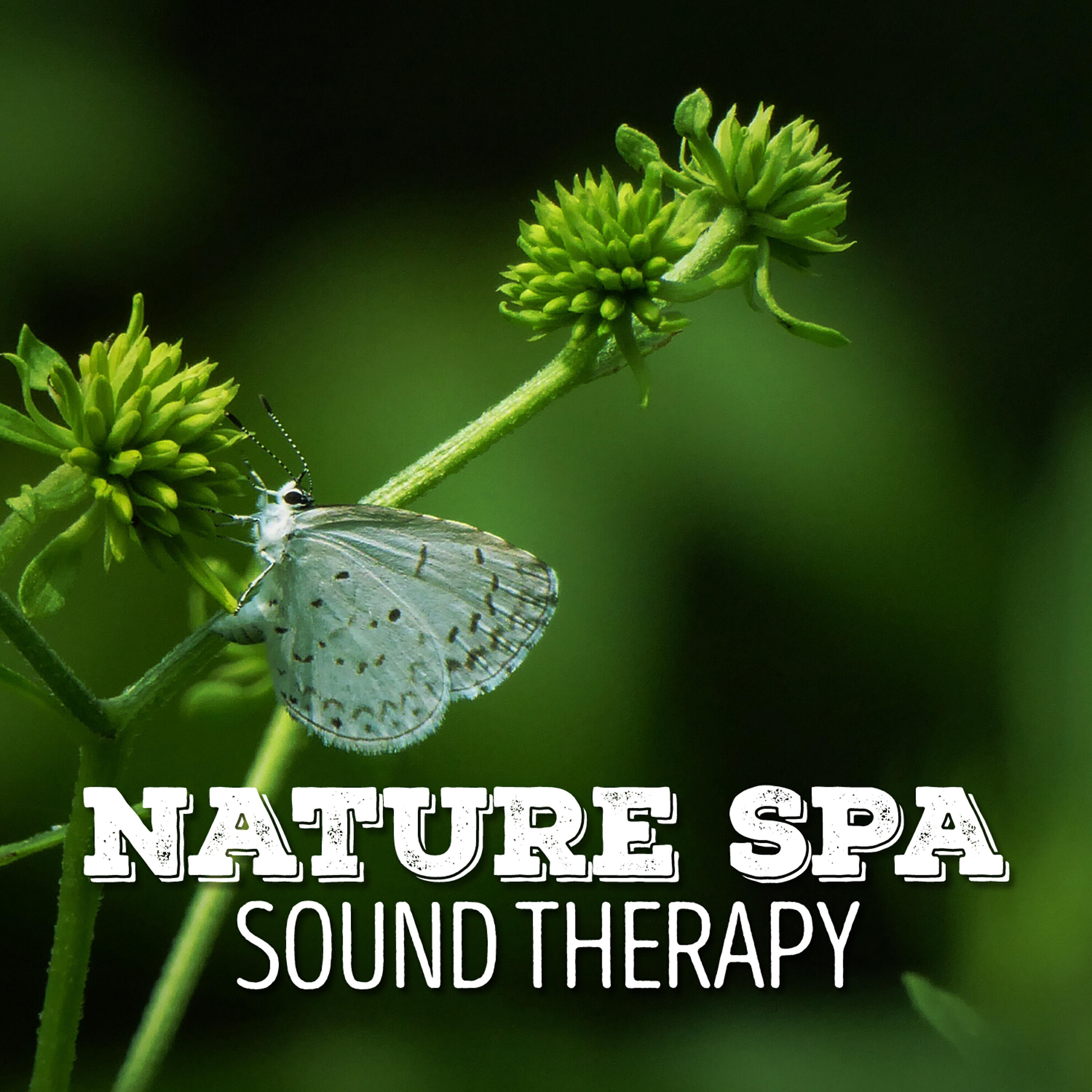 Релиз Nature Spa Sound Therapy